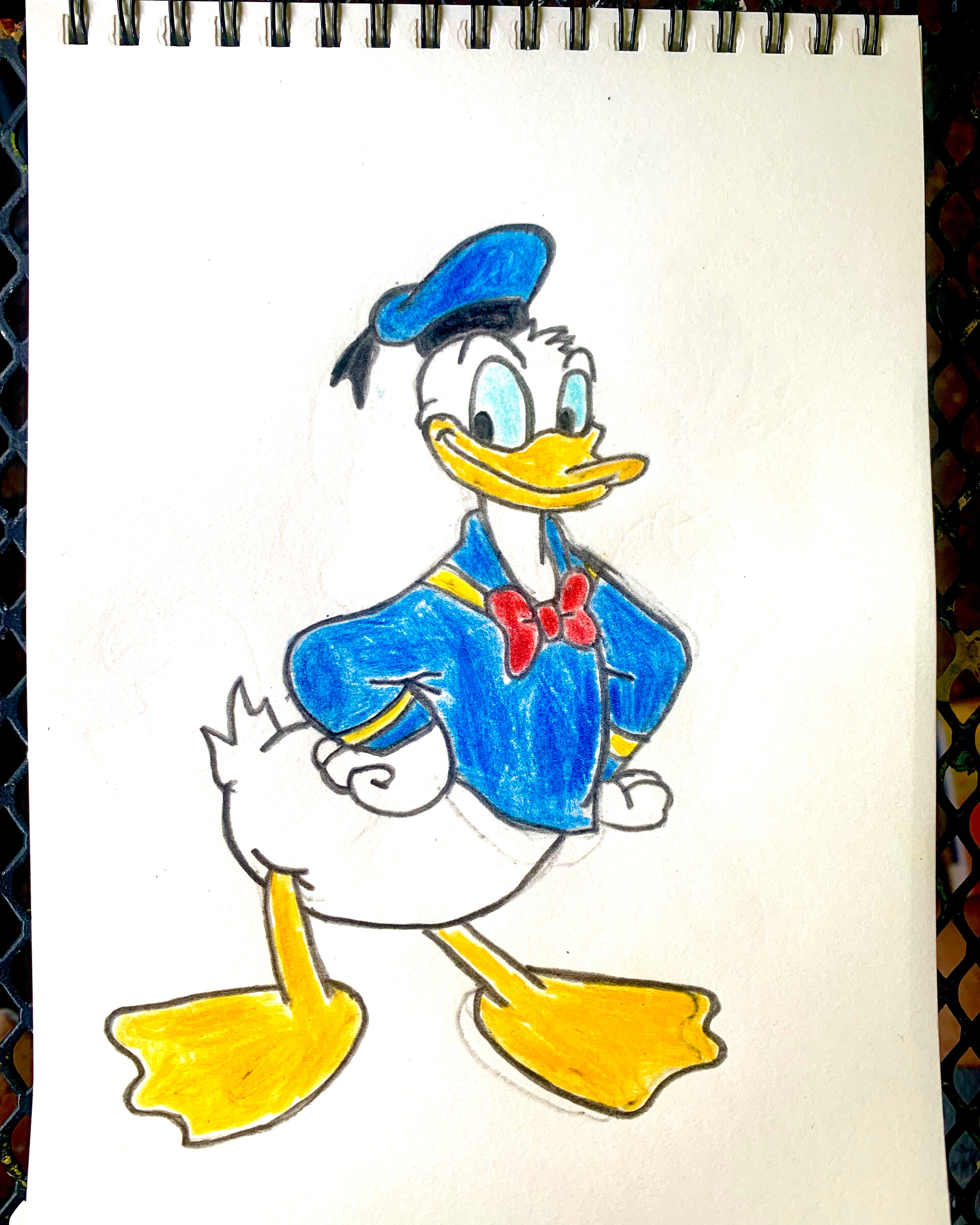 How to Draw Donald Duck VIDEO  StepbyStep Pictures