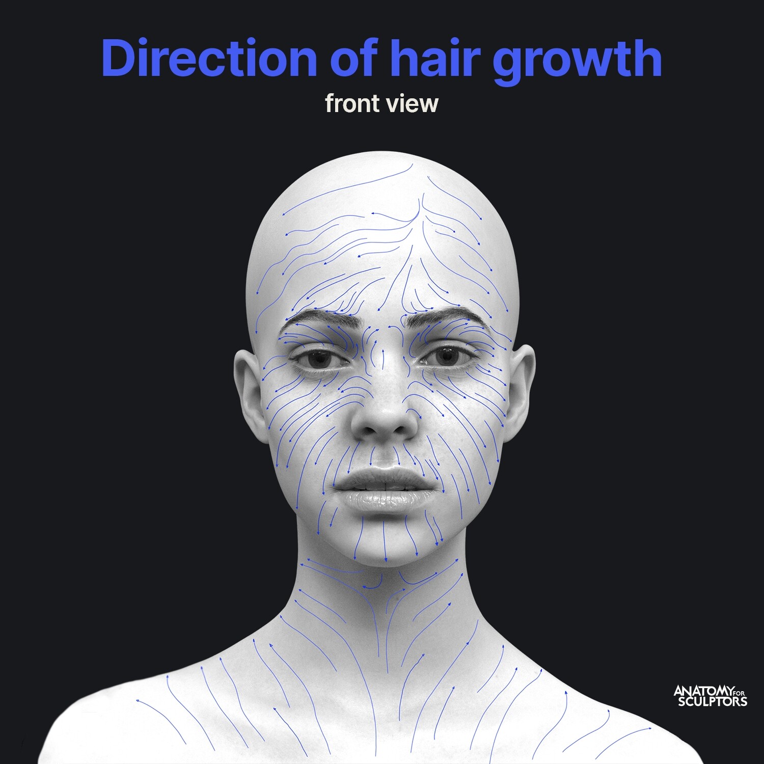 ArtStation Direction Of Hair Growth artstation-direction-of-hair-growth