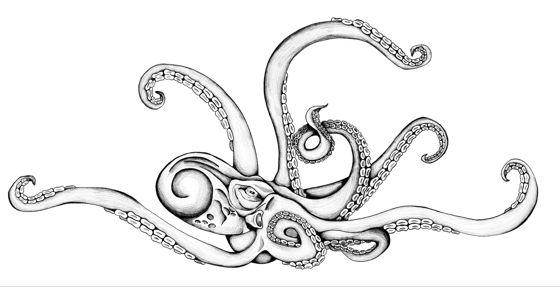 ArtStation Kraken Tattoo Design