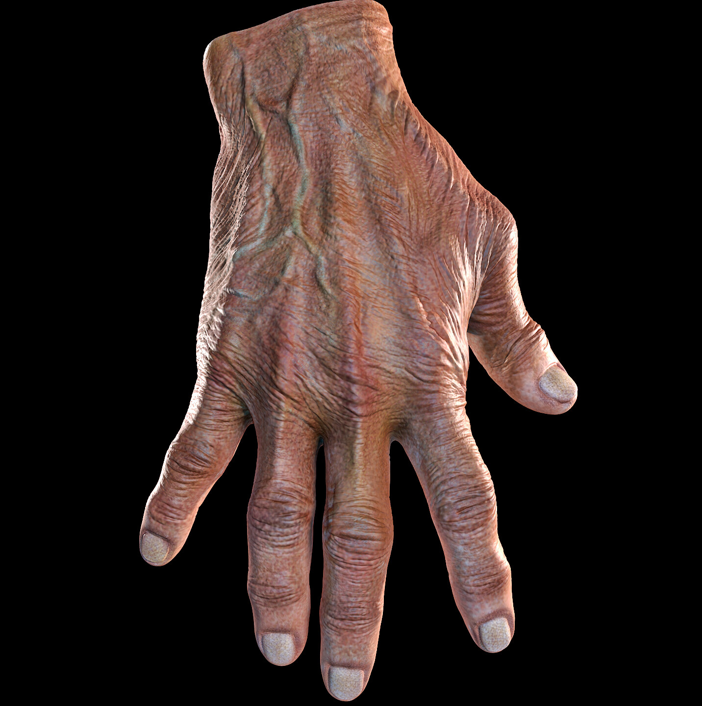 Male Hands Pack - Anatomy 360