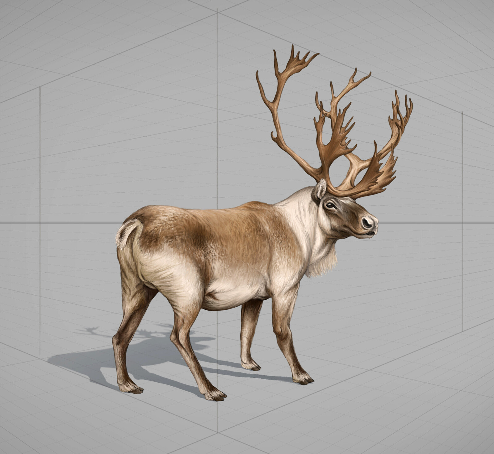 Prehistoric Animal Concepts – Reindeer