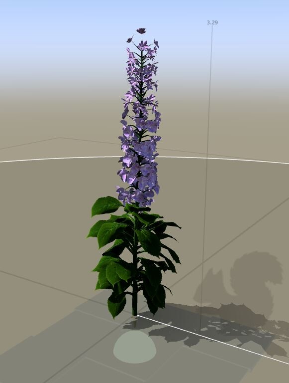 SpeedTree Modeling