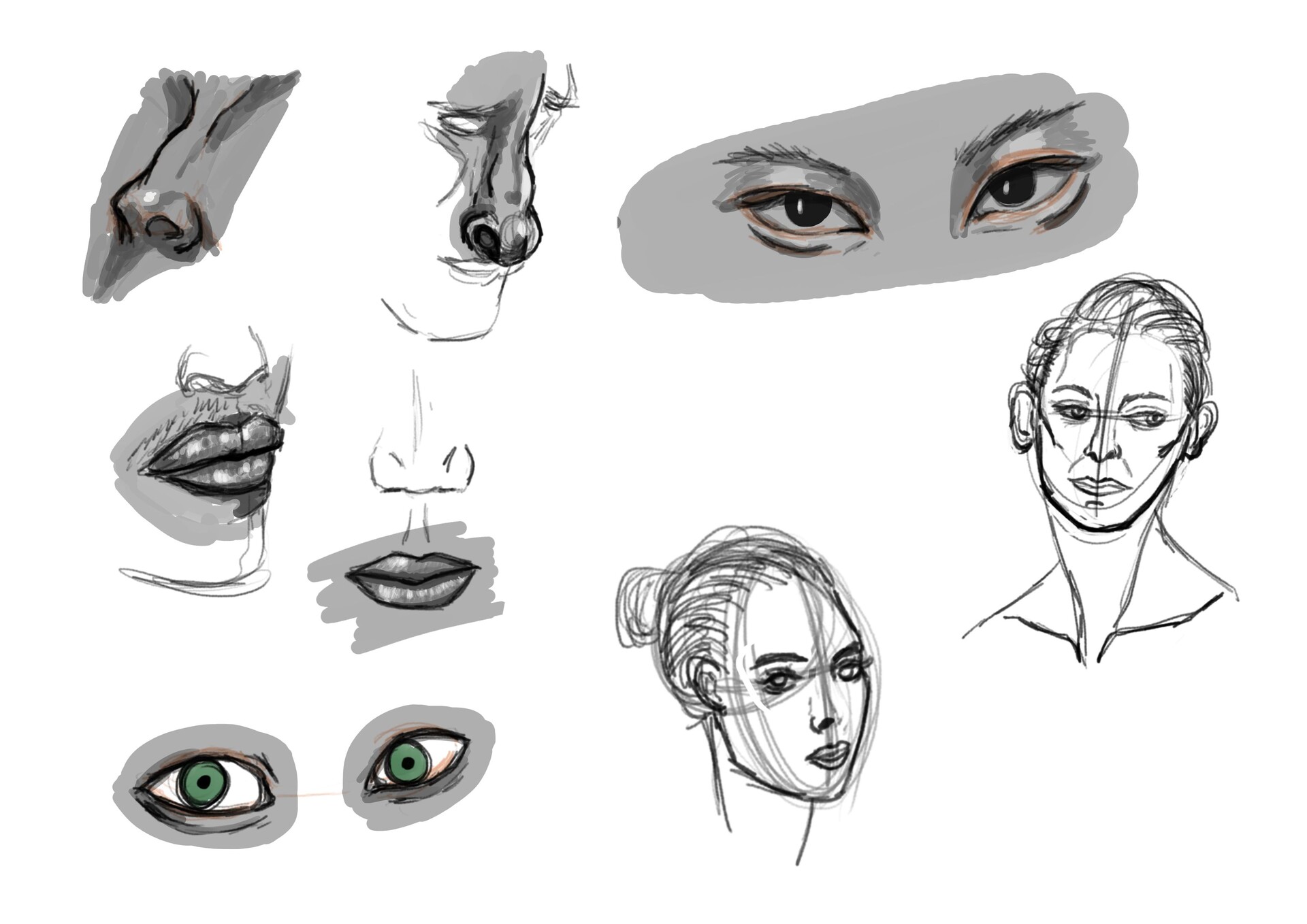 ArtStation - Referencias_Rostro
