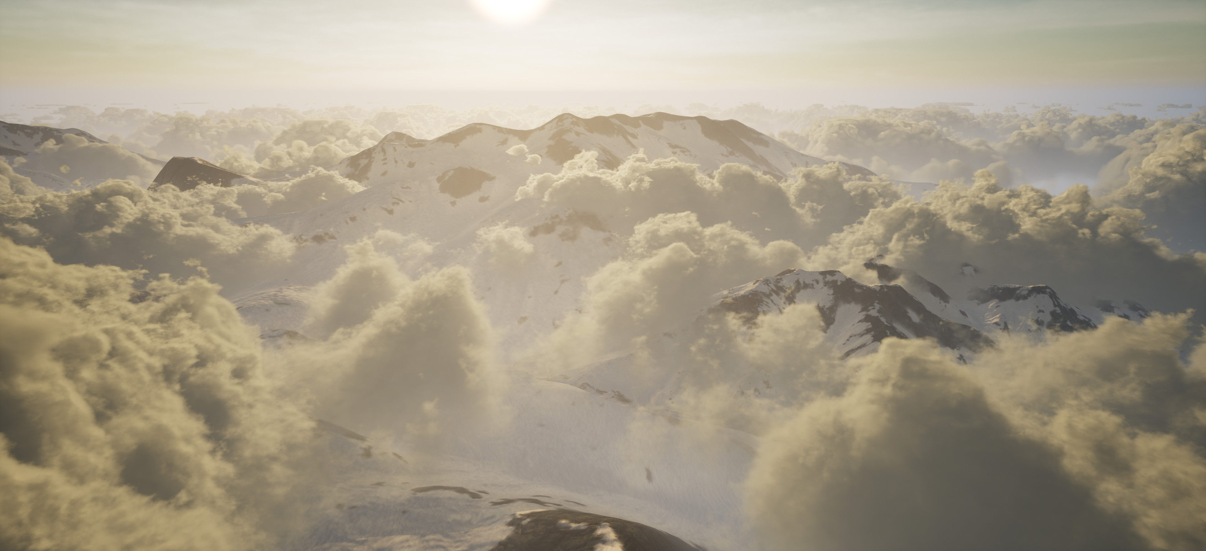Wide Shots