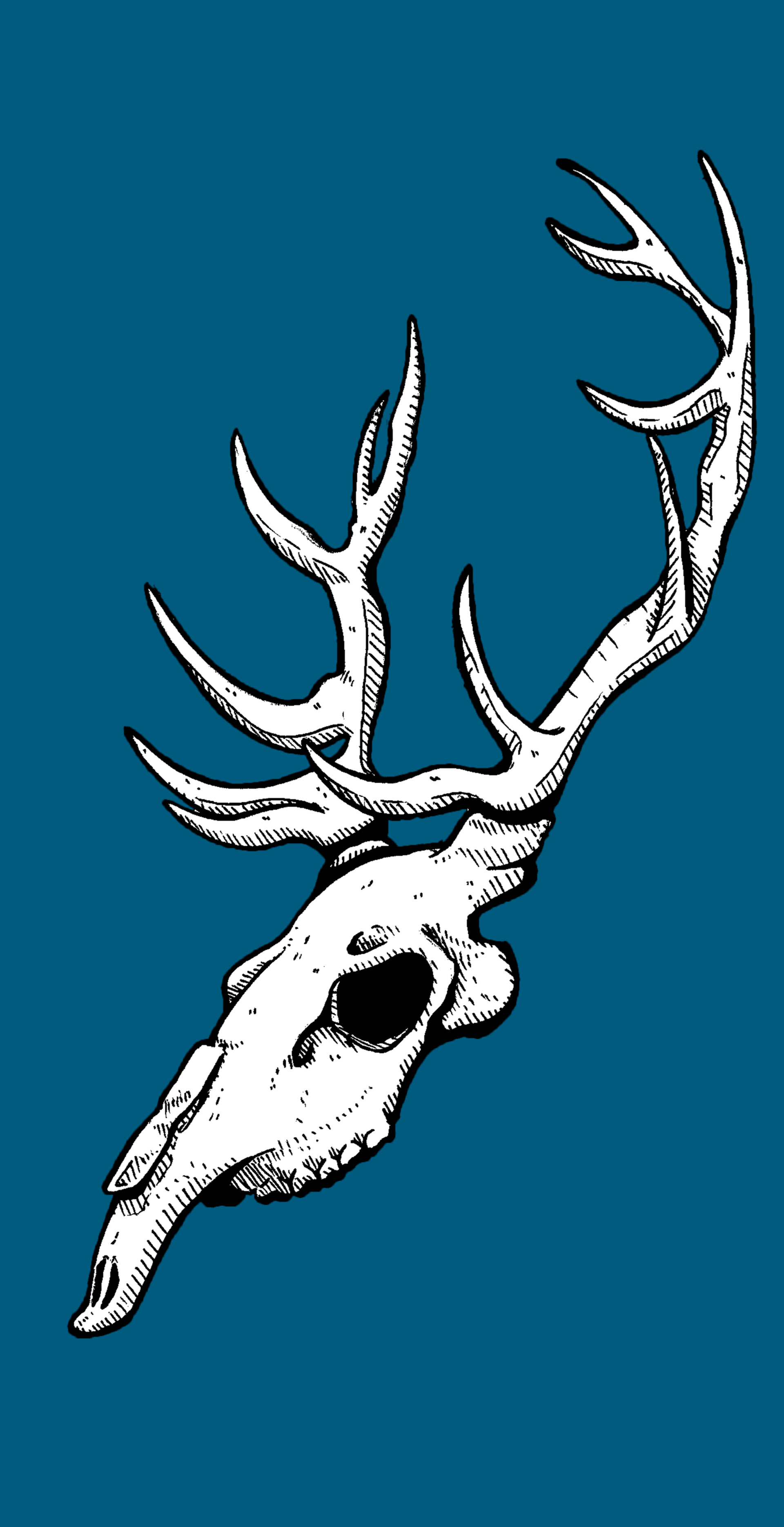 Deer skull drawing deals