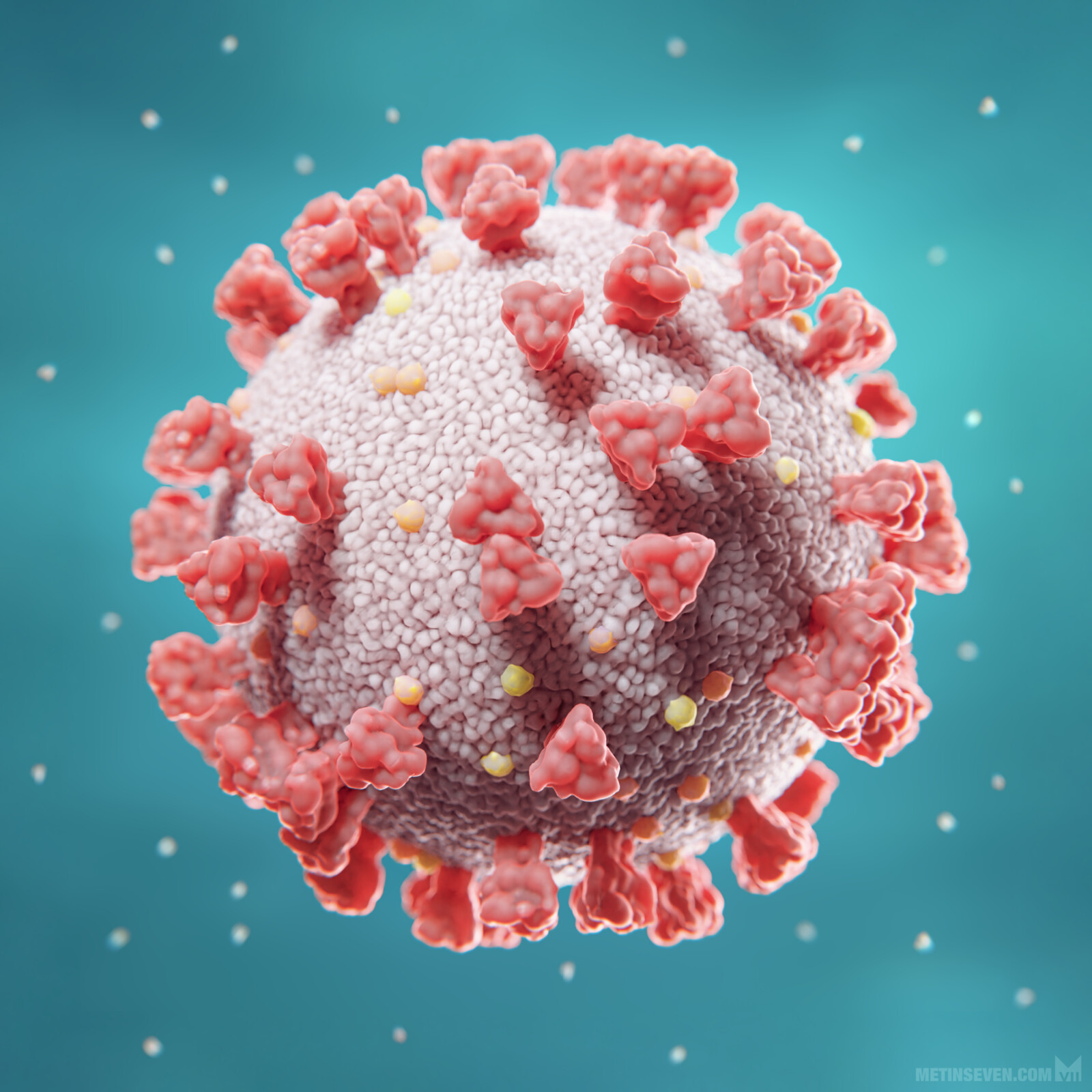 Medical / scientific visualization of the Corona / COVID-19 virus.