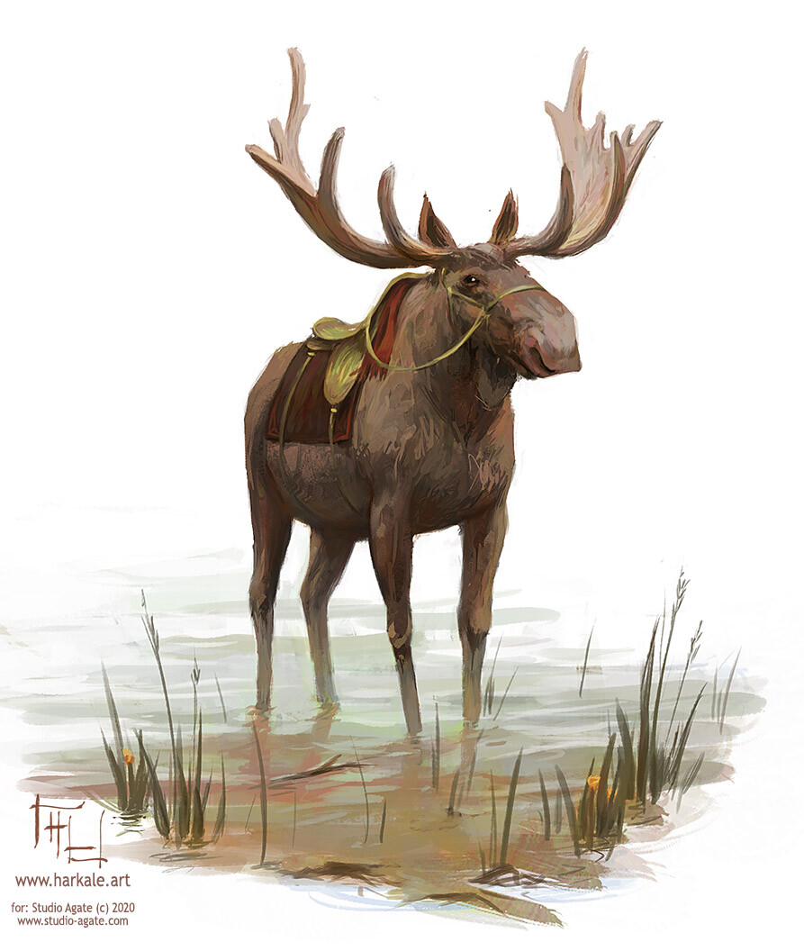 Moose