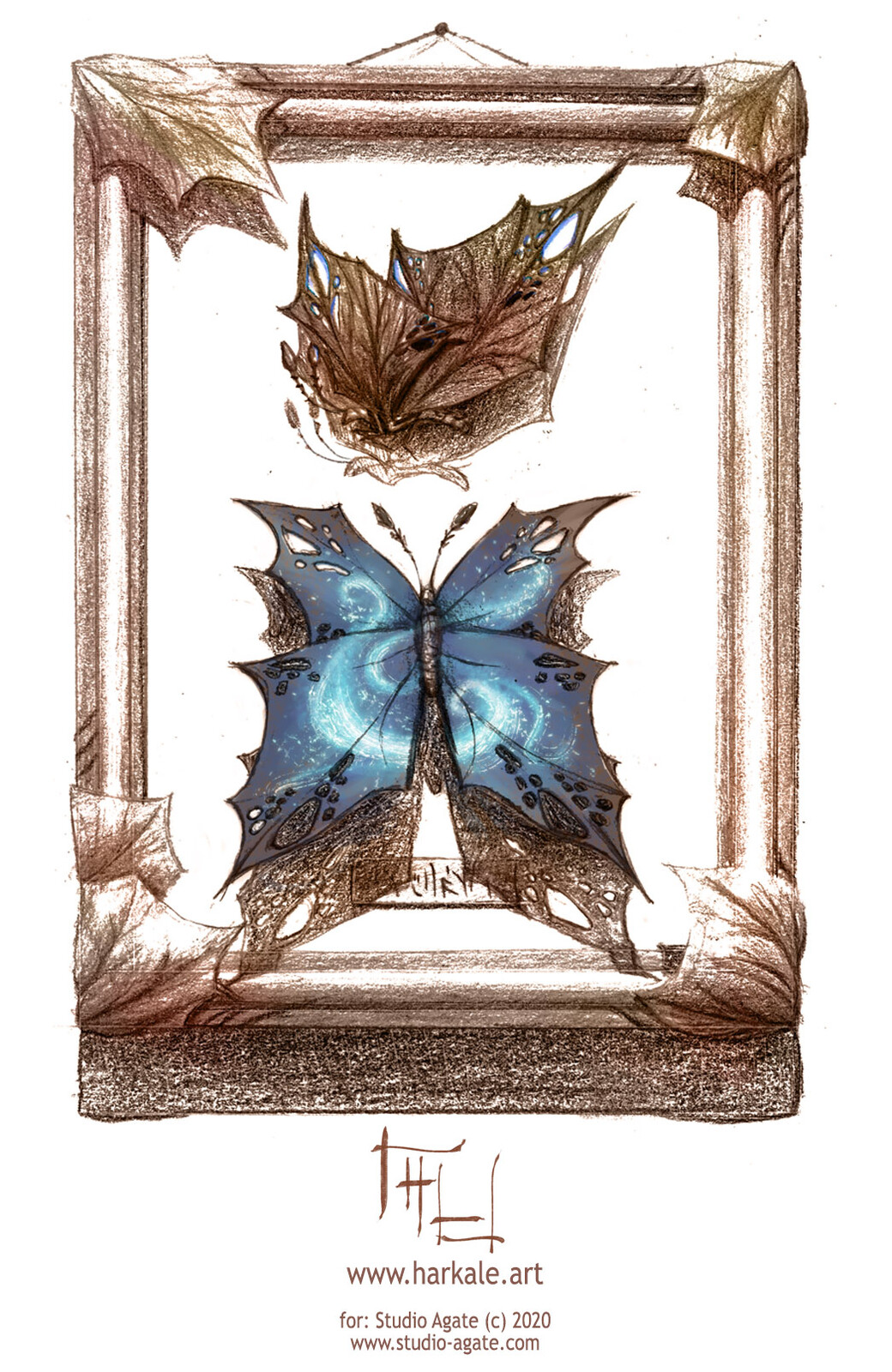 magical butterflies