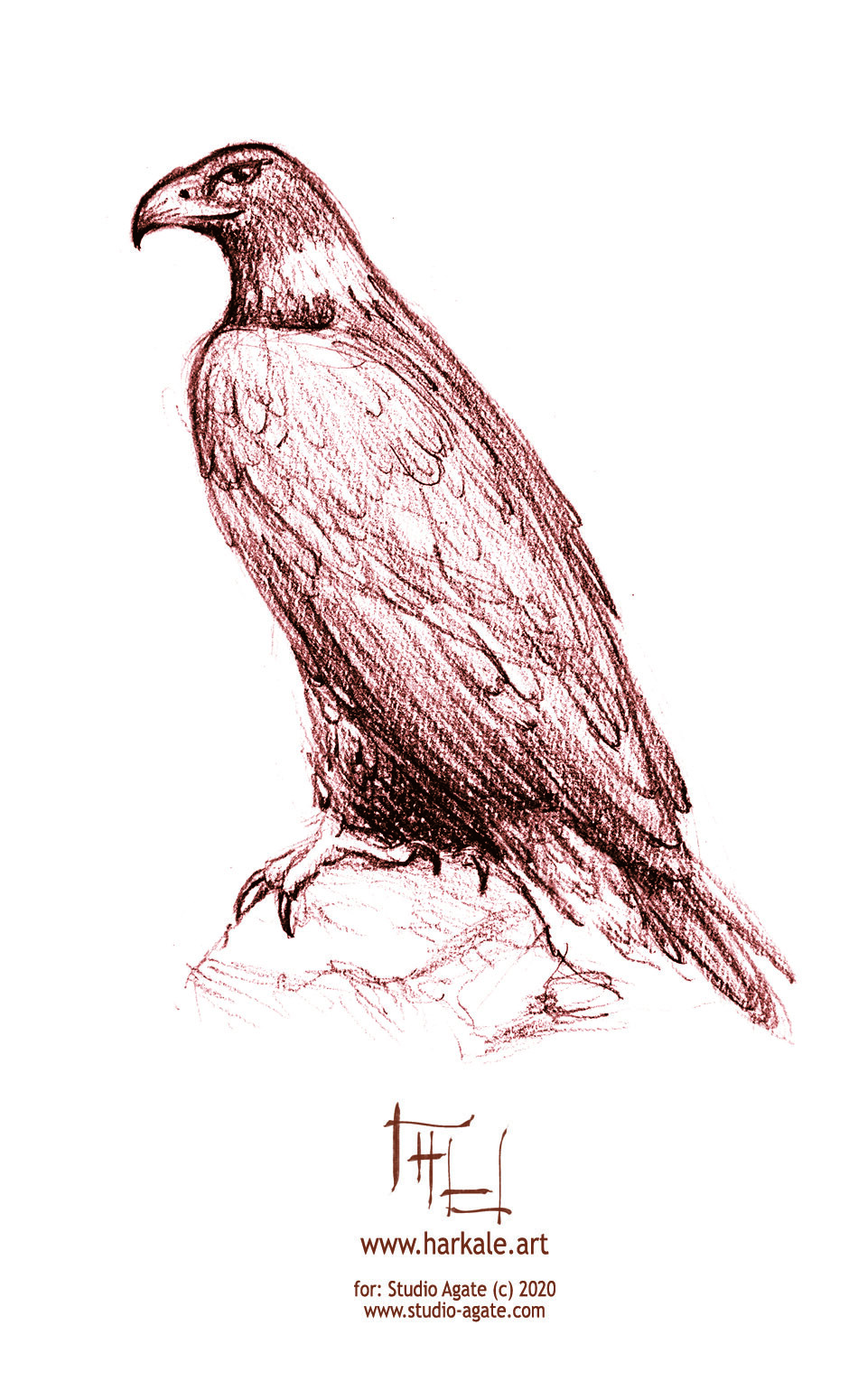 eagle