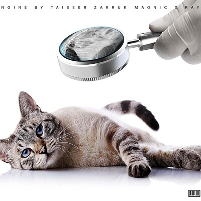 Taiseer zarruk magnic x ray cat
