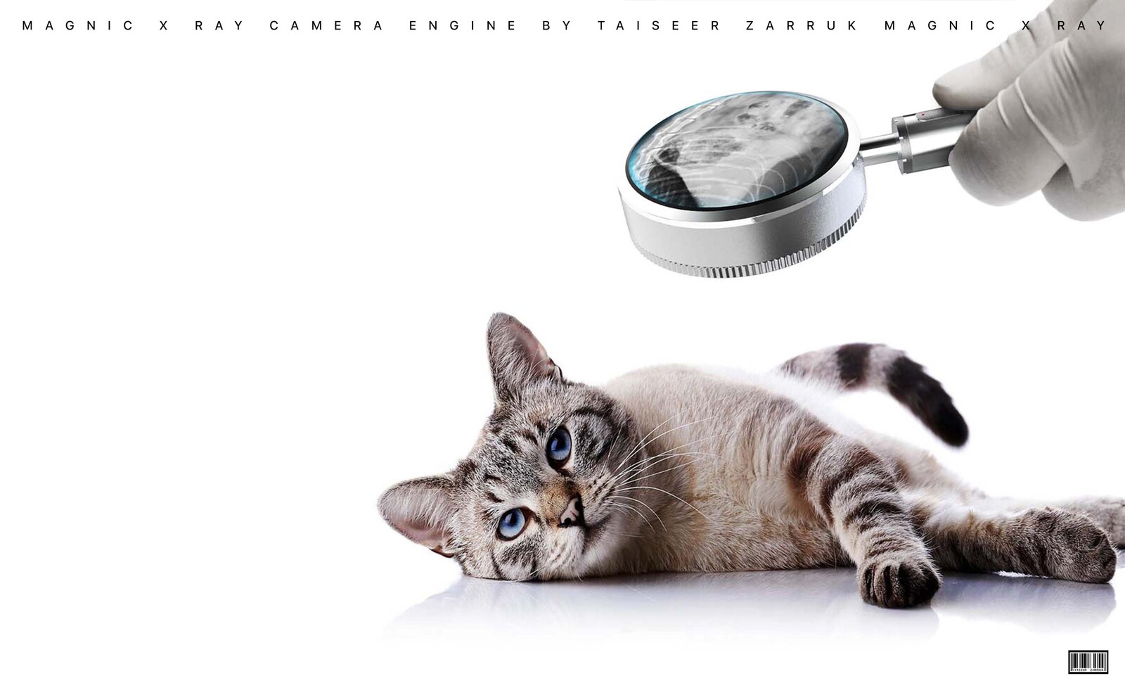 Magnic Handheld X Ray on Cat