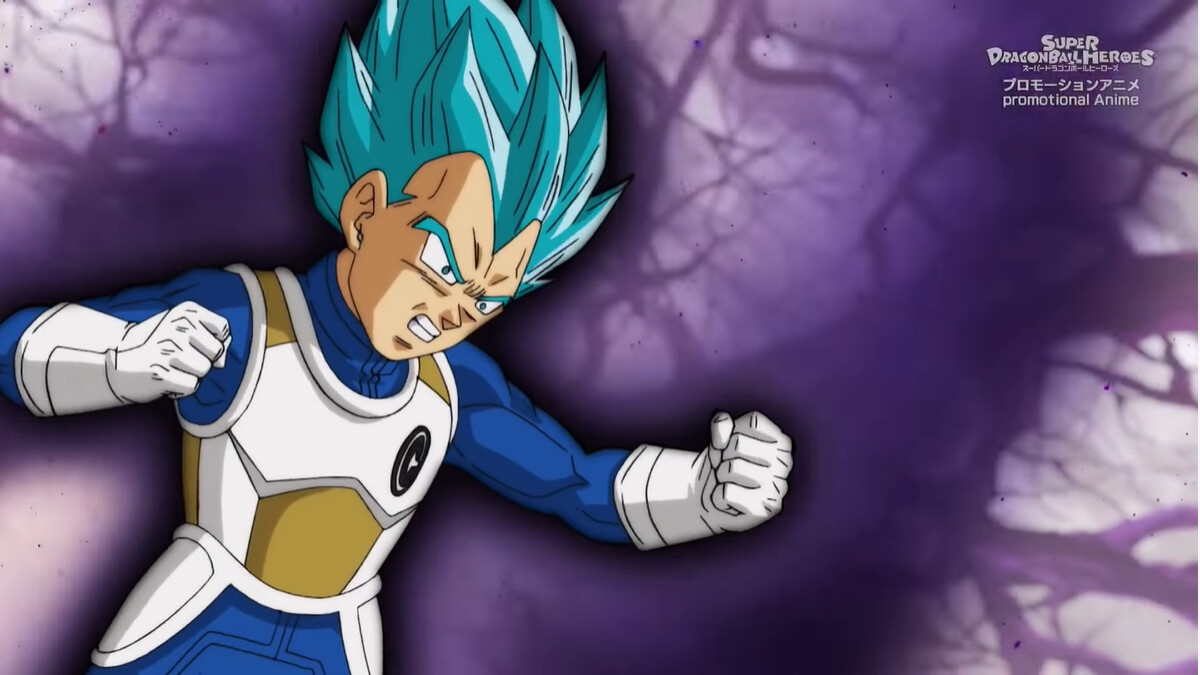 cc vegeta