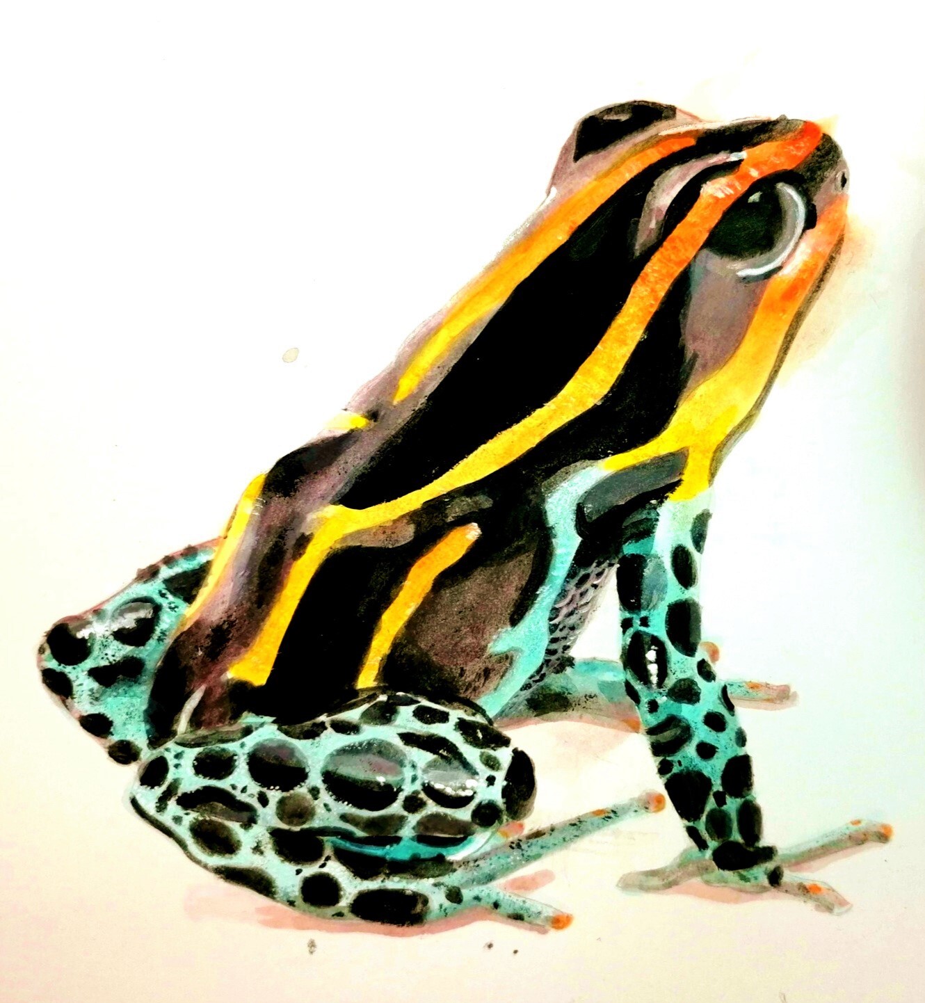 ArtStation Amazonian Poison Dart Frog