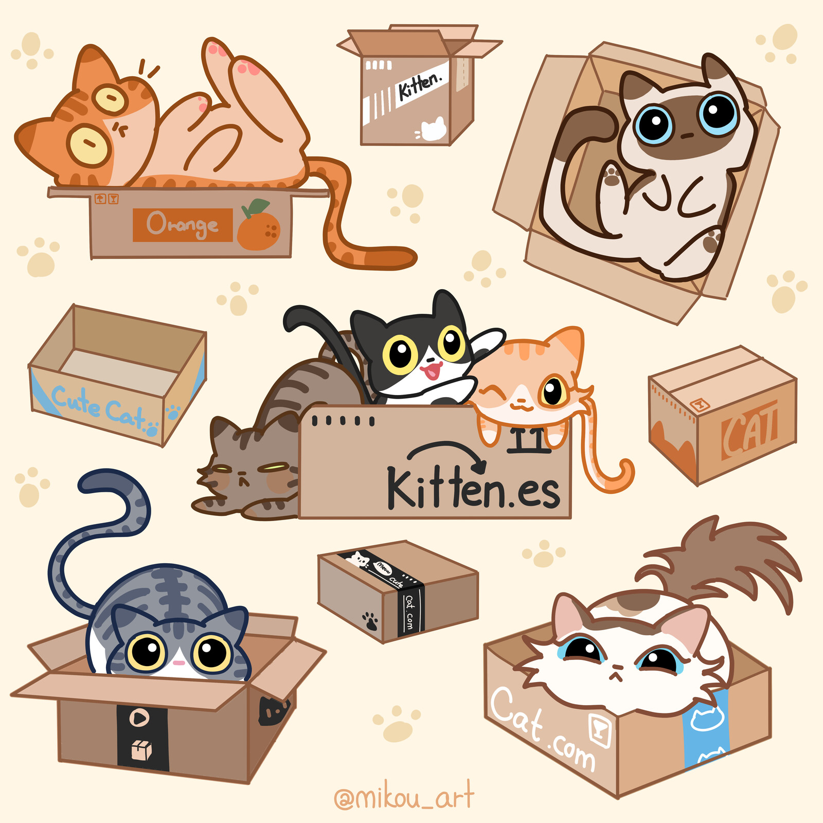 Cat in Box