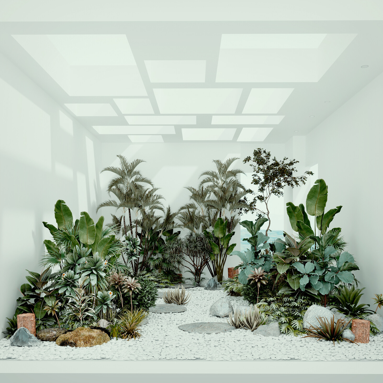 Garden plants 01 