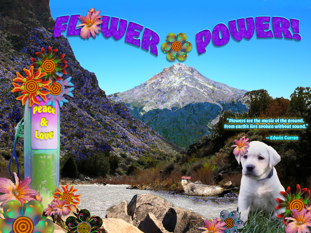 Photoshop 2022 - final project utilizing many text, photo, mask techniques to composite several assigned photos with 2 chosen photos to create a themed postcard.