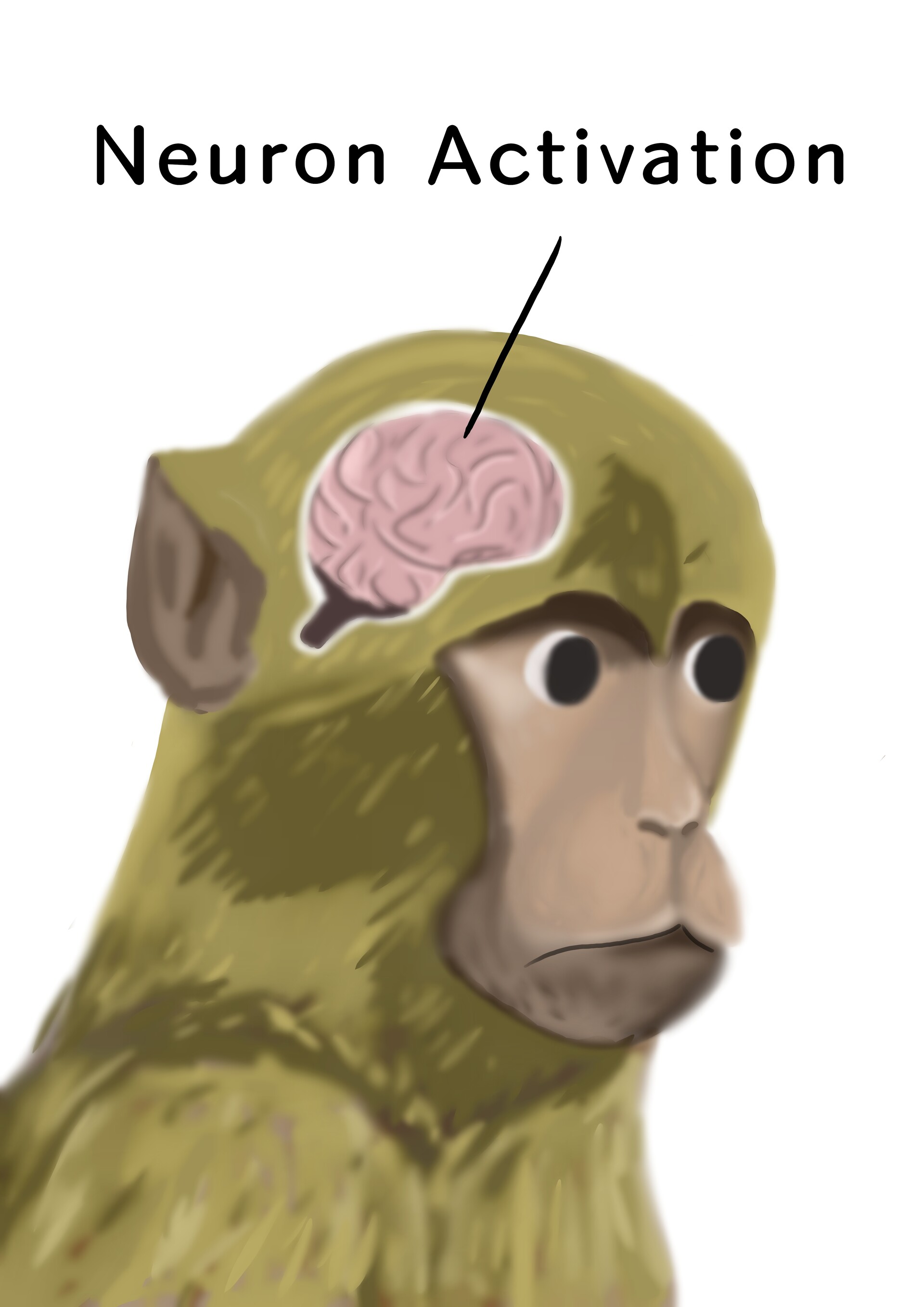 Neural activation Neural activation