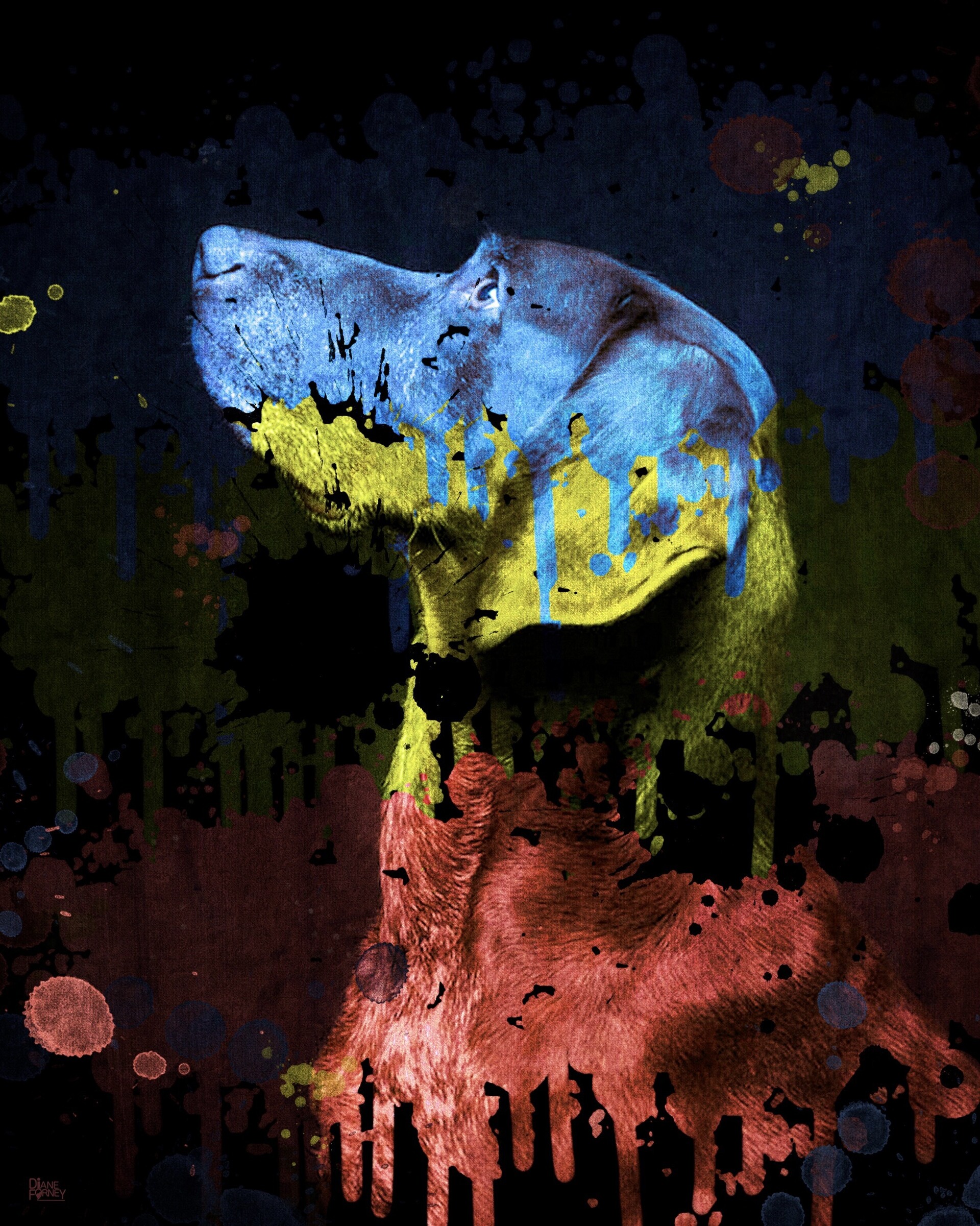 ArtStation - Pet Art
