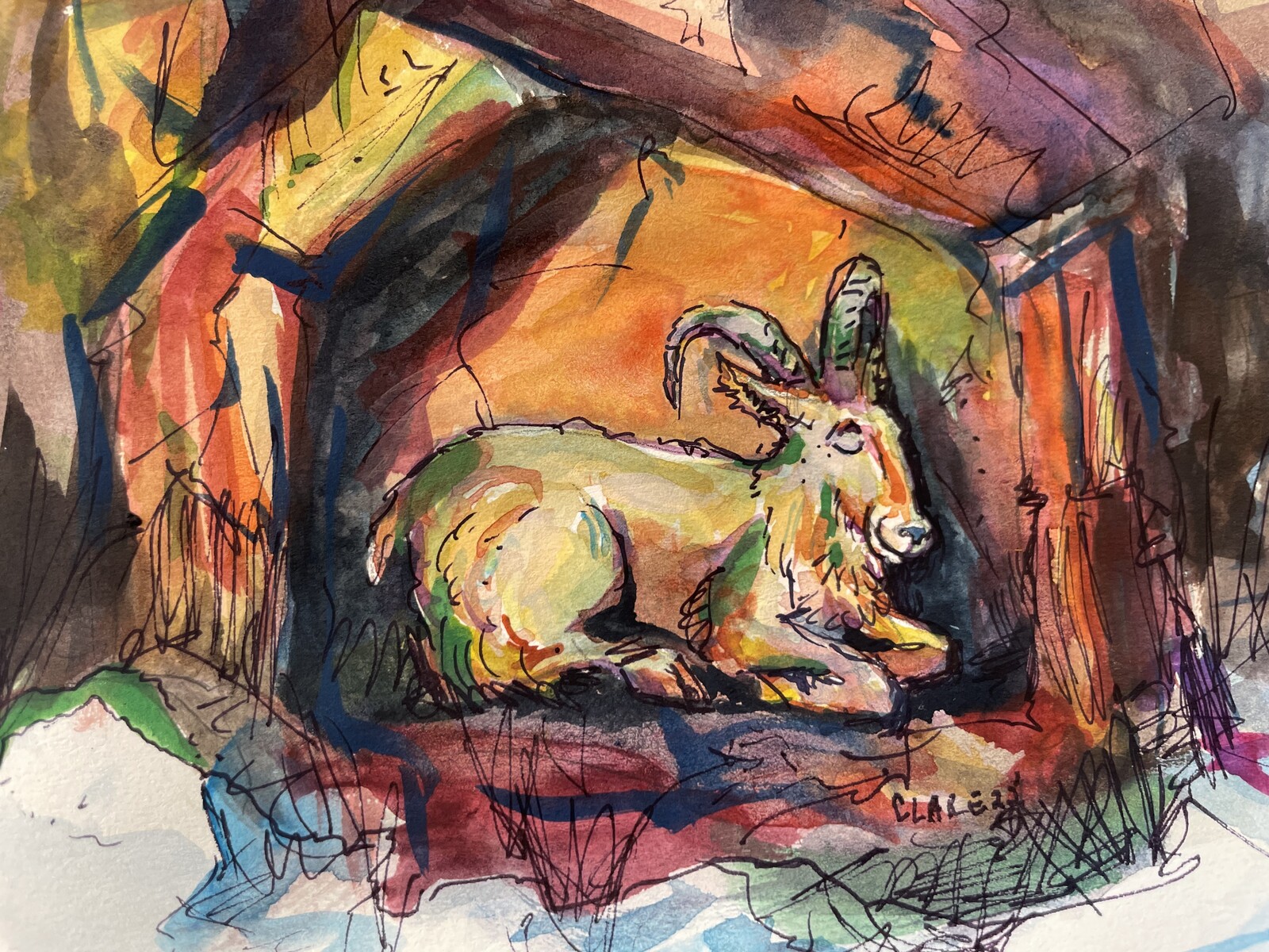 Life capture of the local Barbary sheep, Barry!
