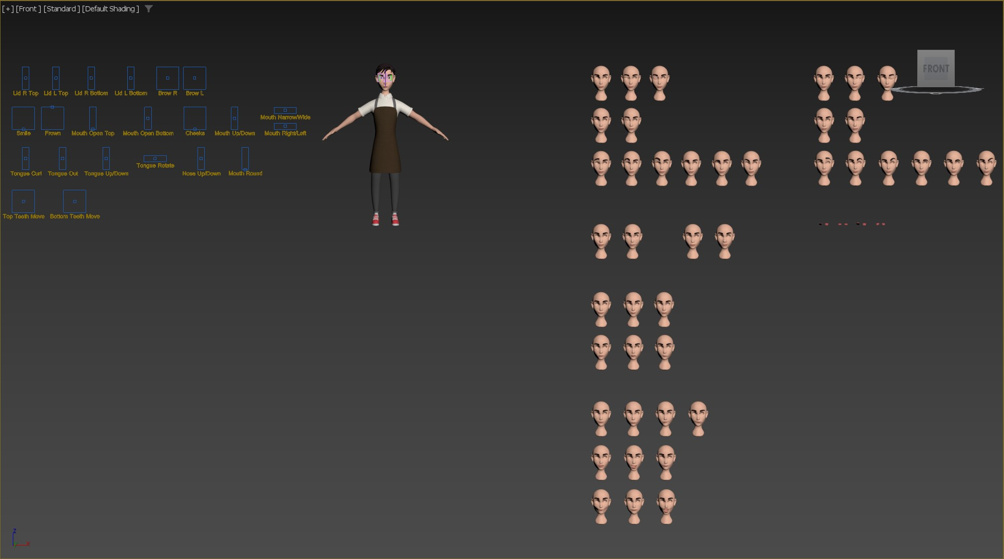 Morph Targets &amp; Face controls in 3Ds Max