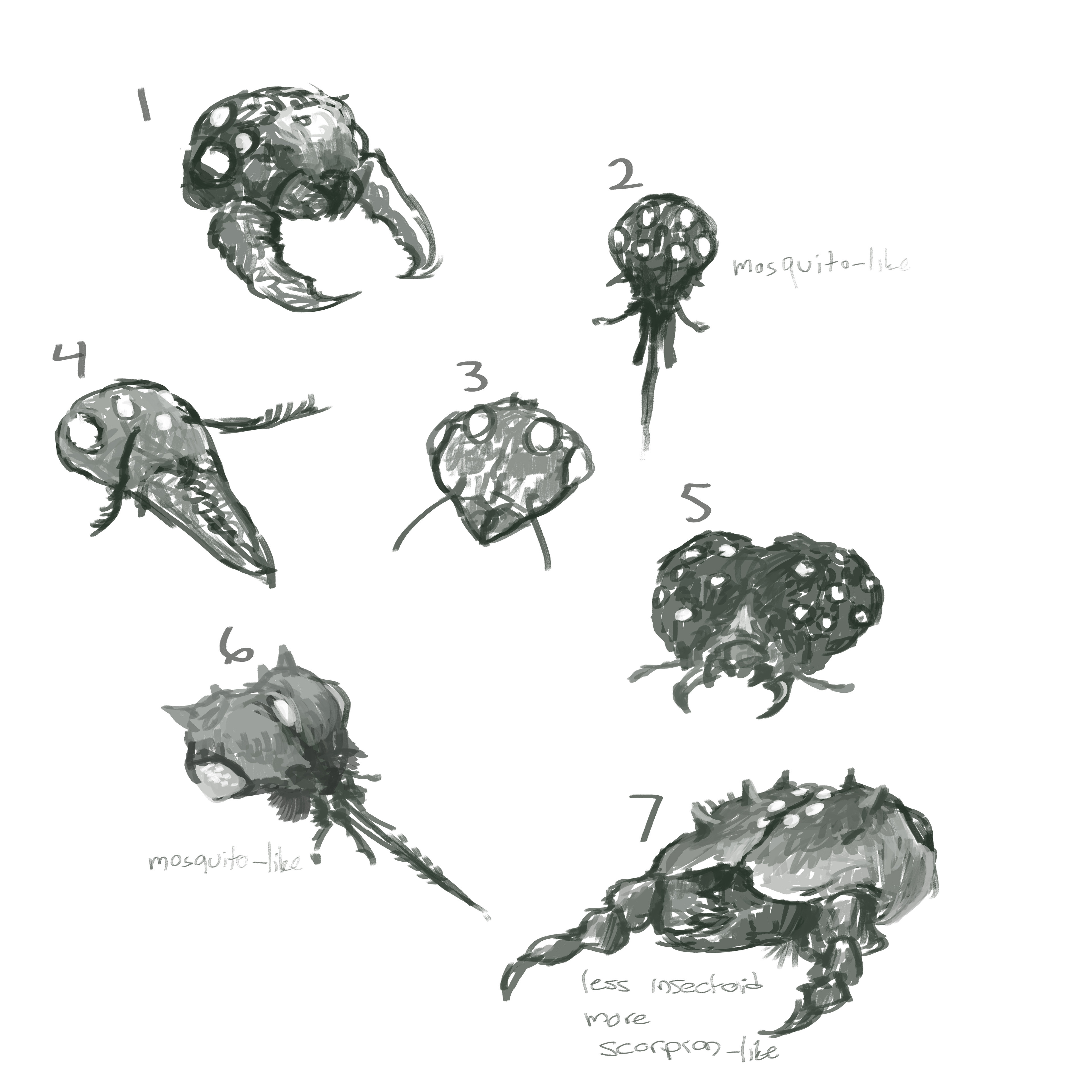 Head Sketches