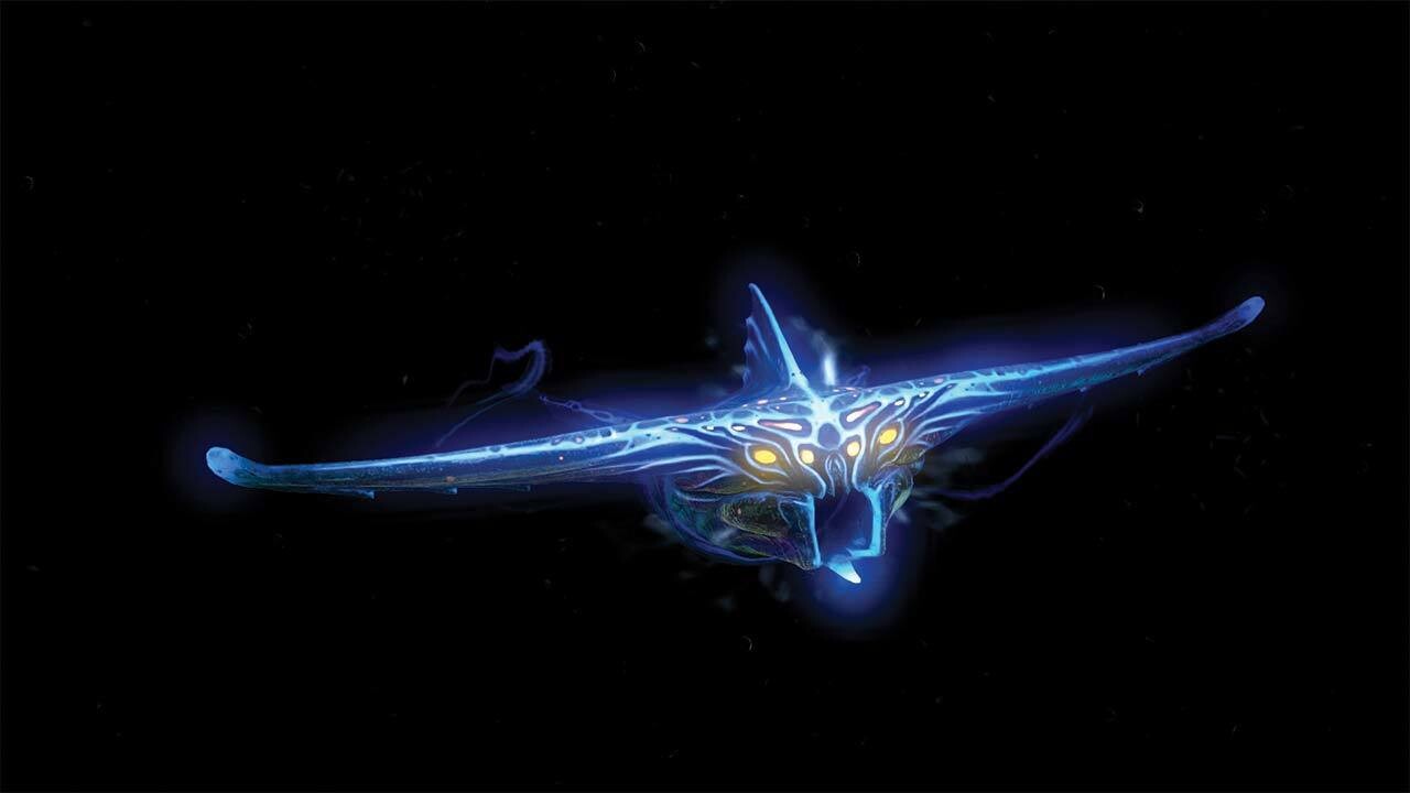 Subnautica Мертвая Зона