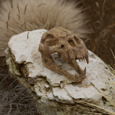 Skull in ZBrush