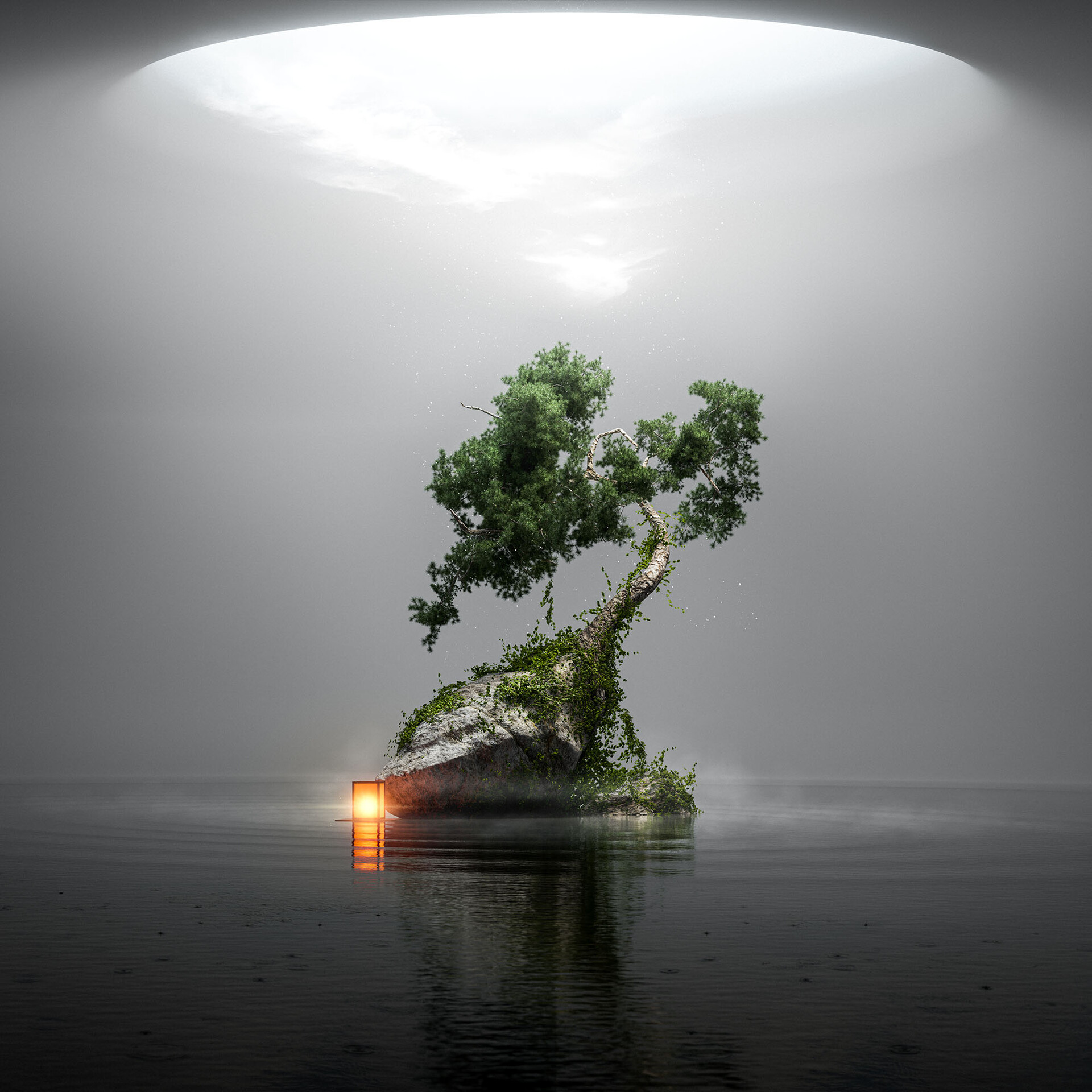 Solitude - Photo d'art