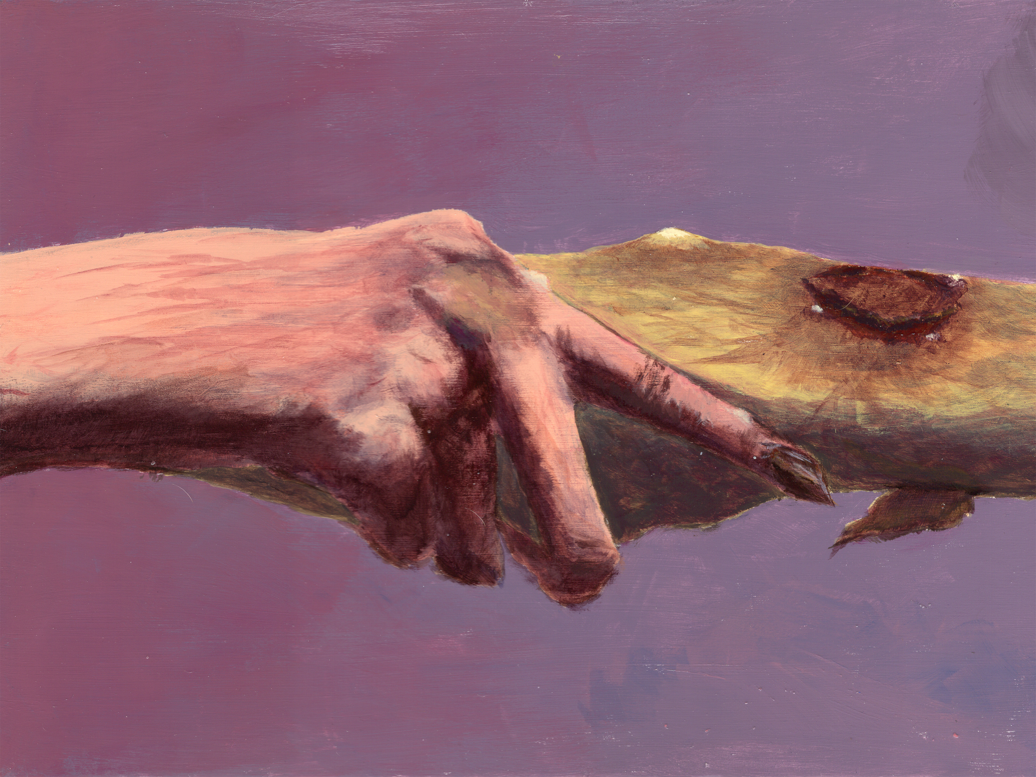 Second in the series.