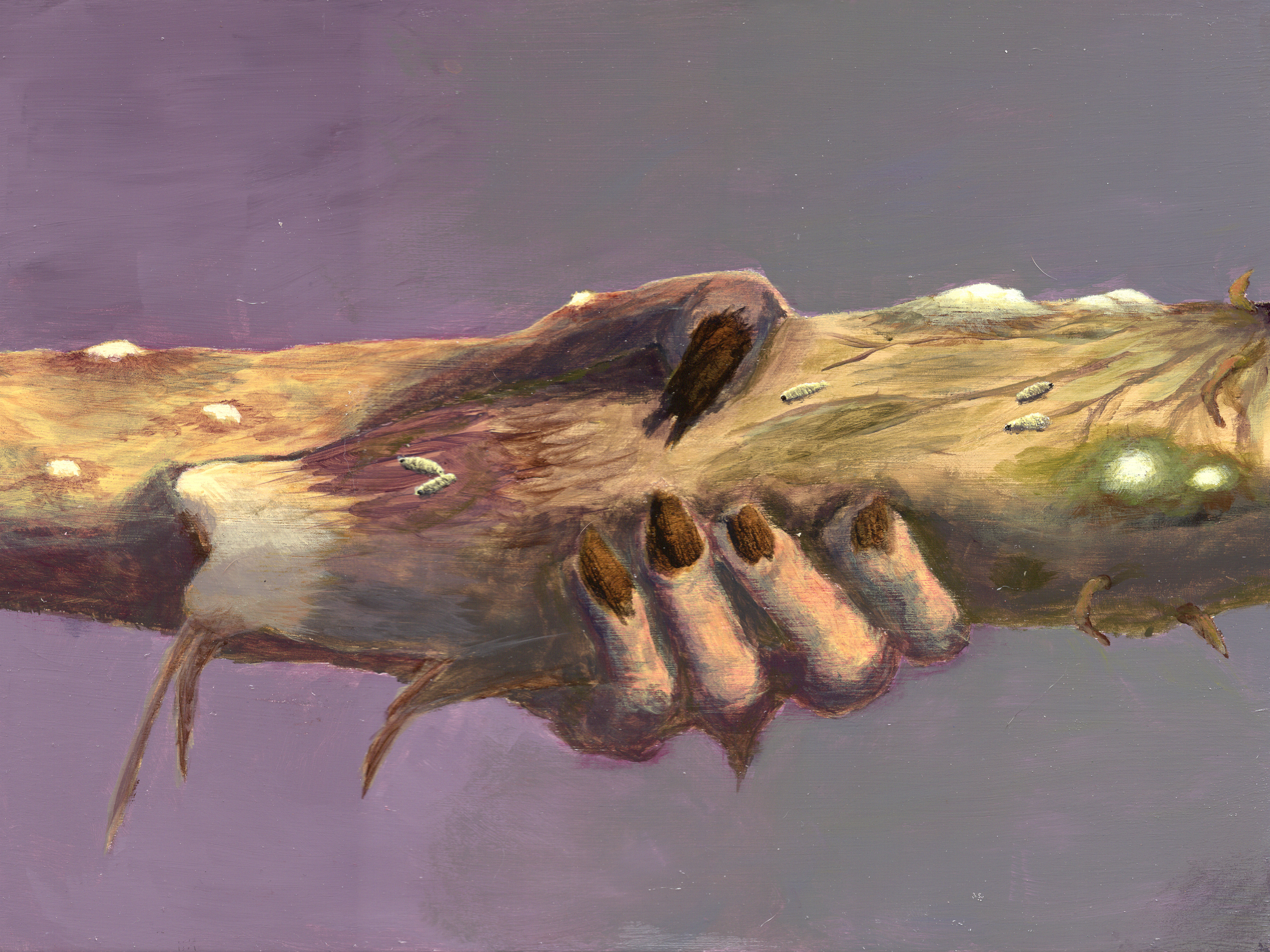 Third in the series.