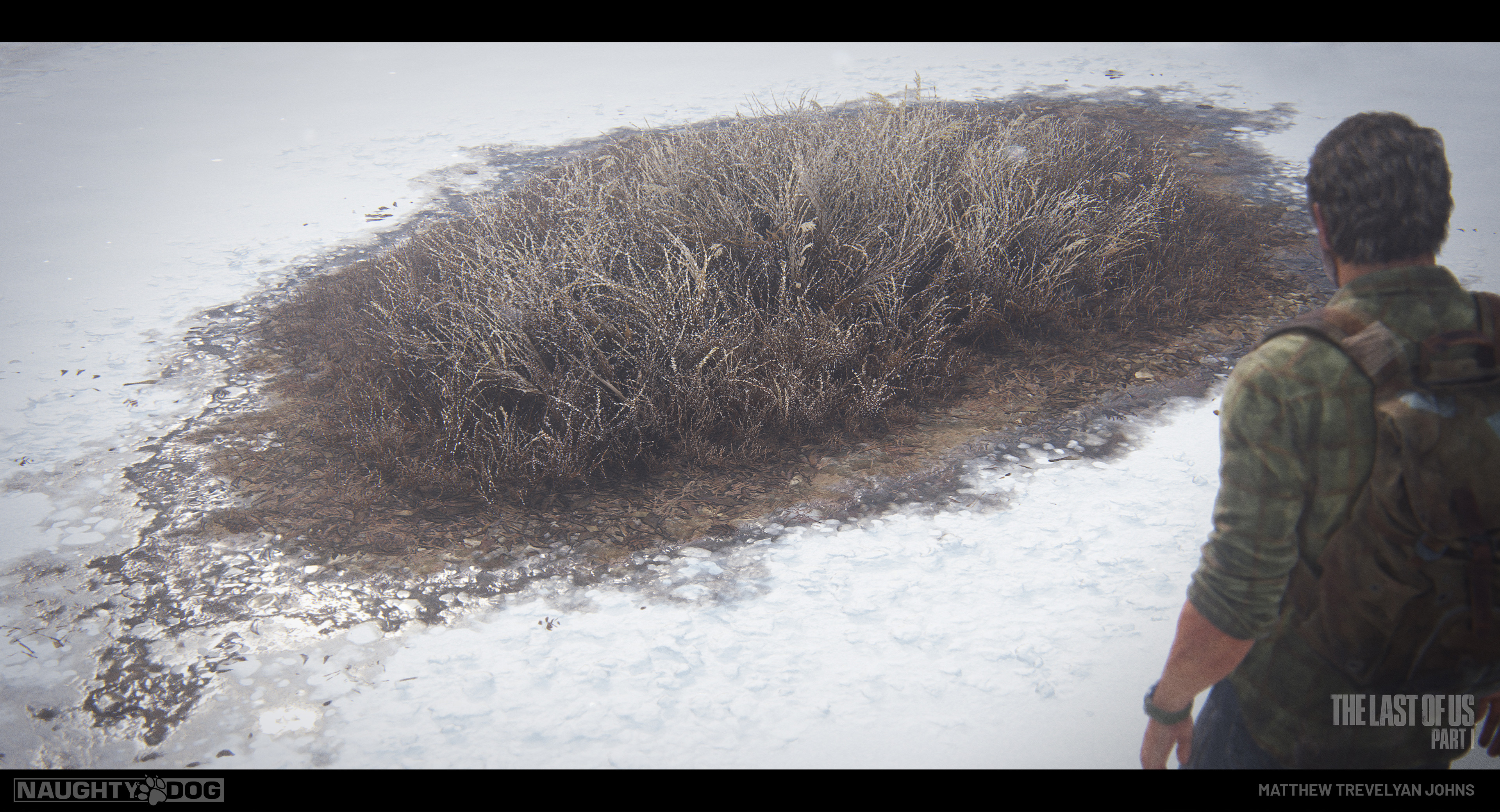 I was also tasked with creating some library snow shaders and general 'looks'. This example shows my direction for how foliage might grow in thick snowy areas. I particularly liked the frosted tips to the grass and the ice effect where soil meets snow