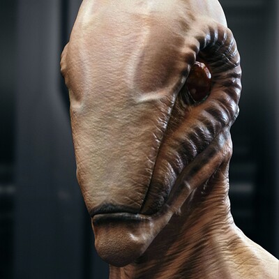 Horse Head