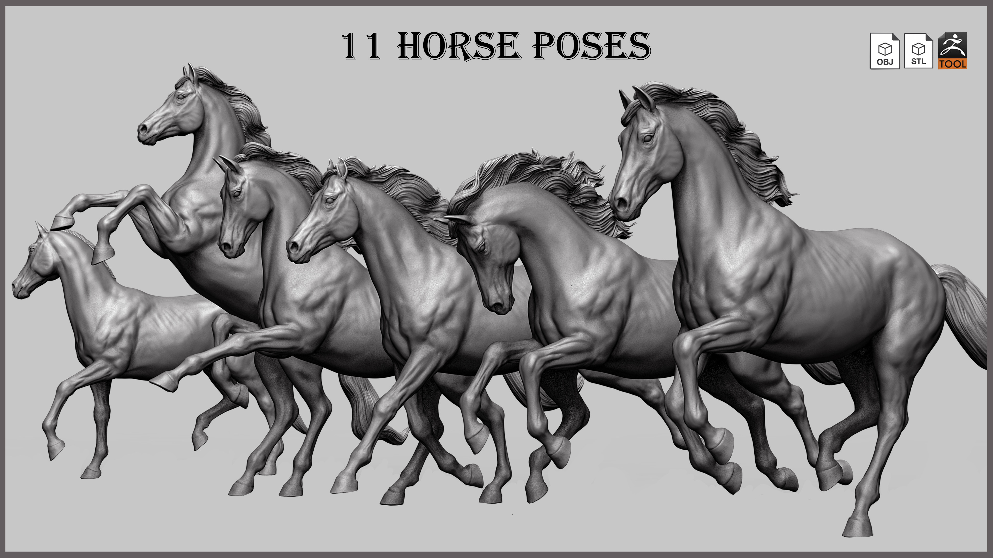 Poses - Pure spirit Horses
