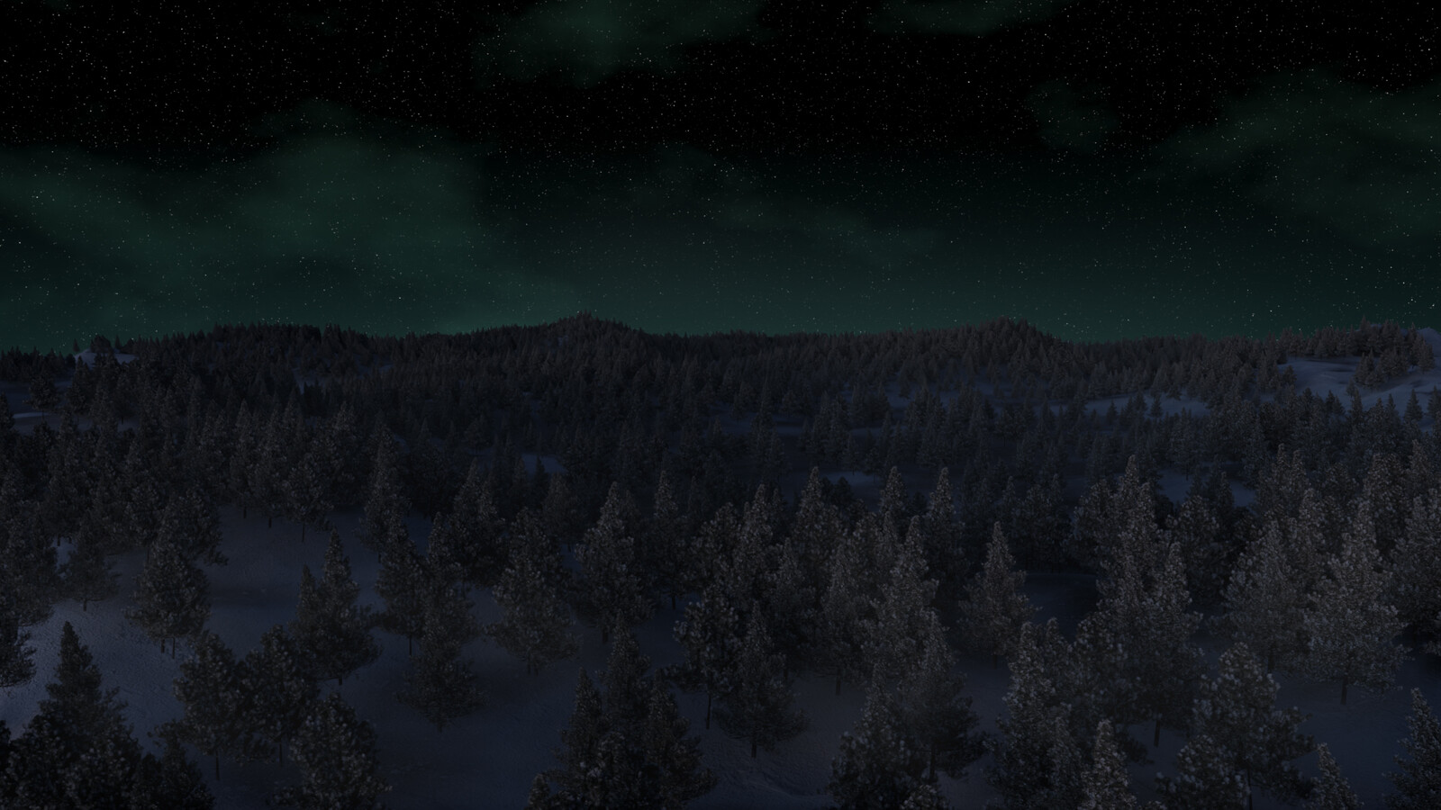 Night winter forest