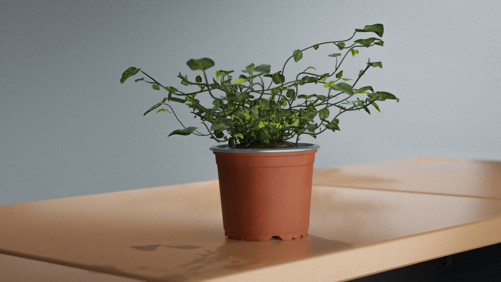 Final render, edited