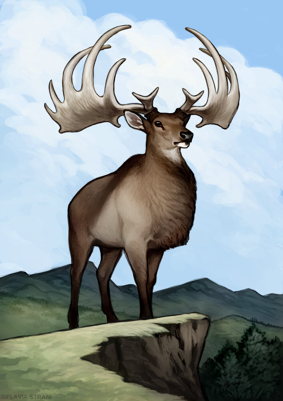 Megaloceros giganteus store