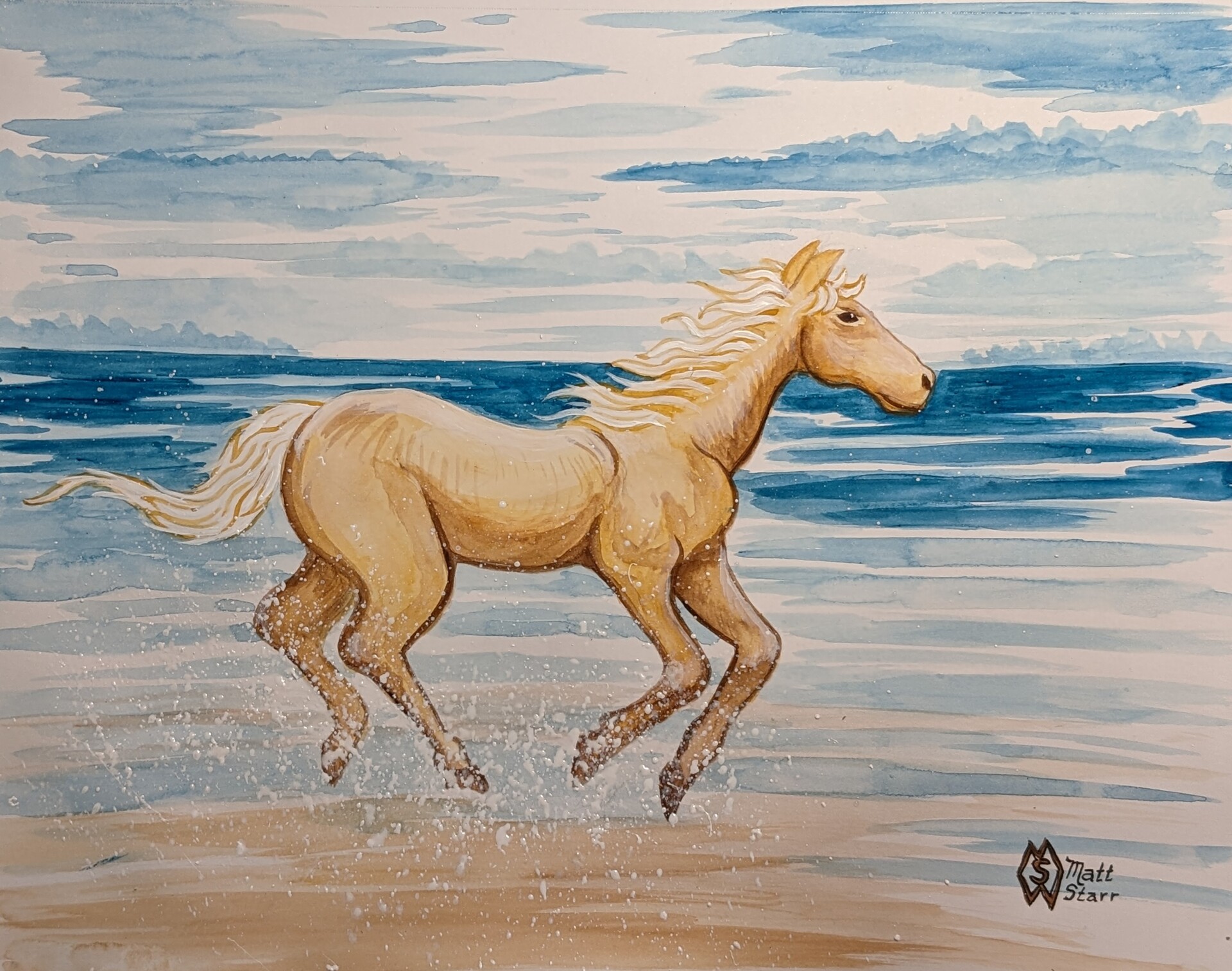 horse running on the beach