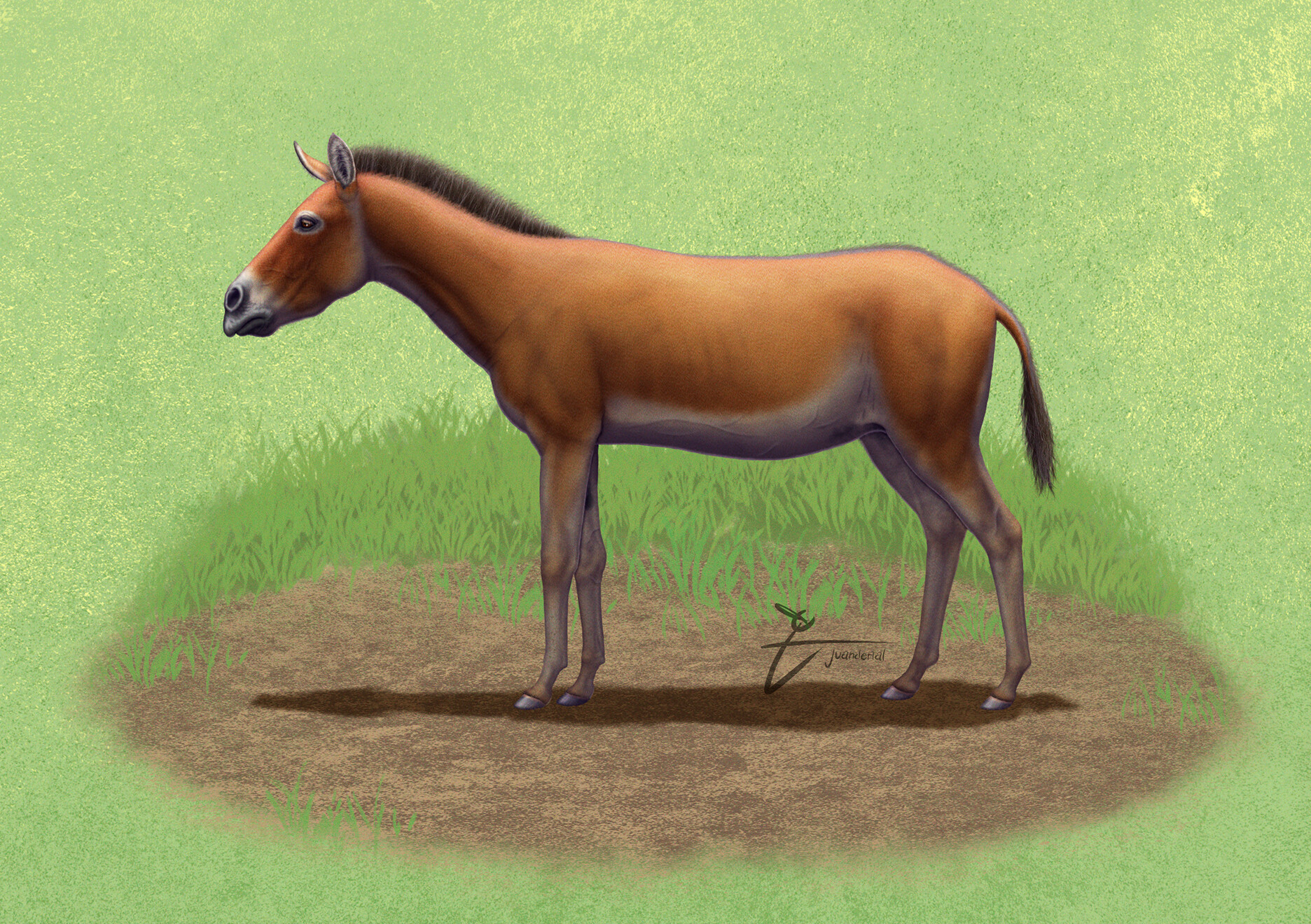 ArtStation - Pliohippus pernix.