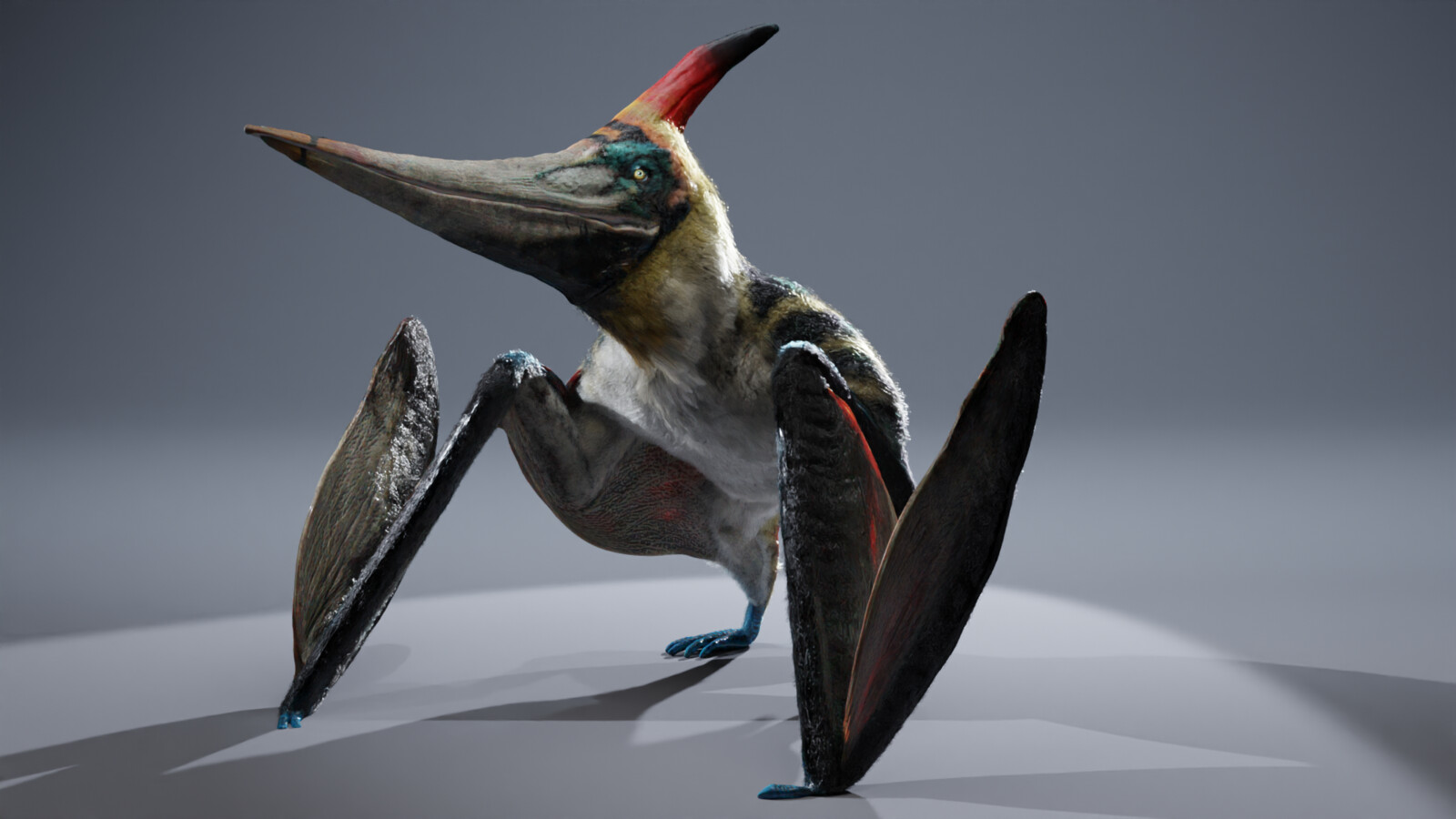 Pteranodon with Fur
