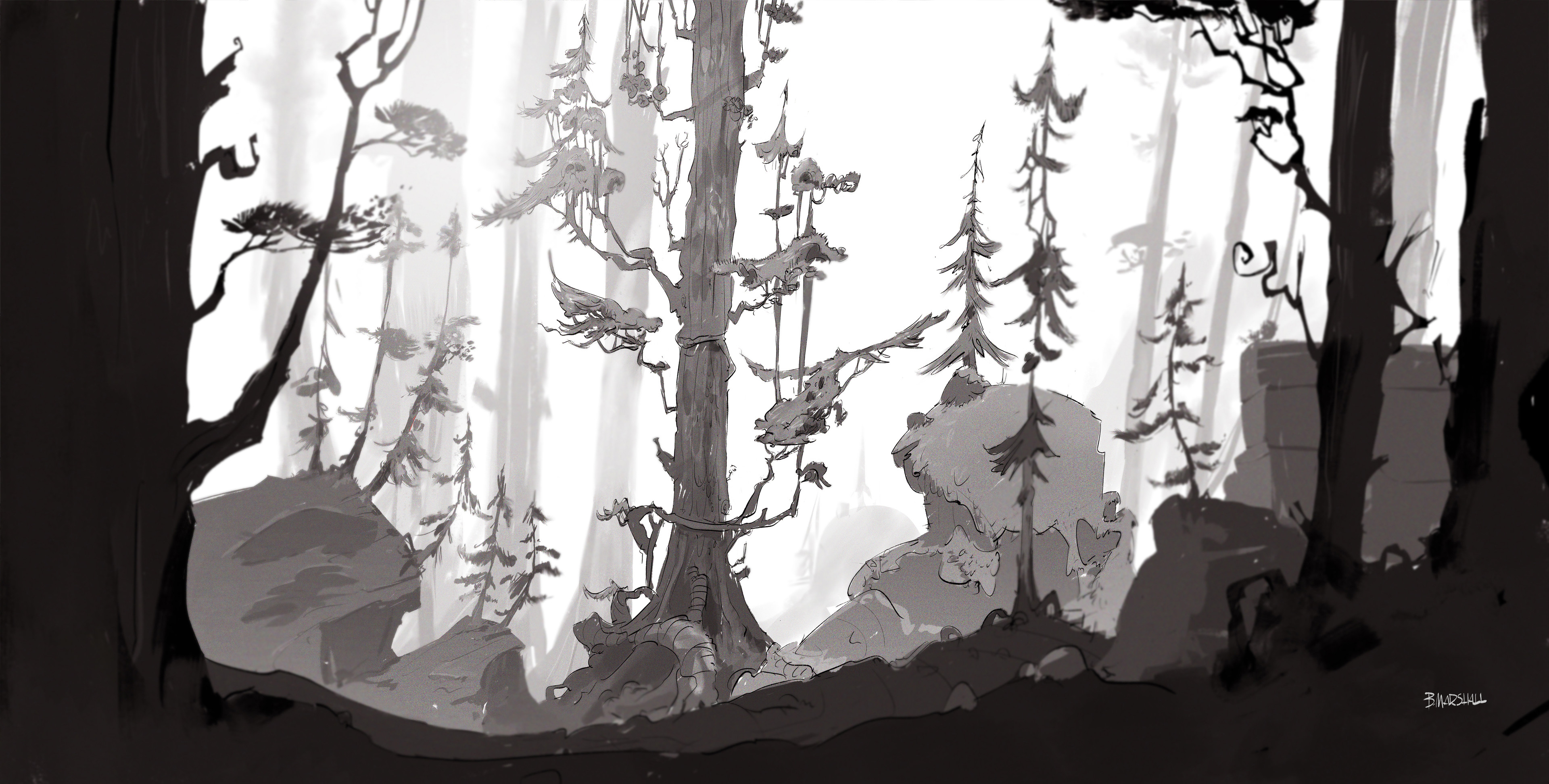 Japanese woods - establishing shot