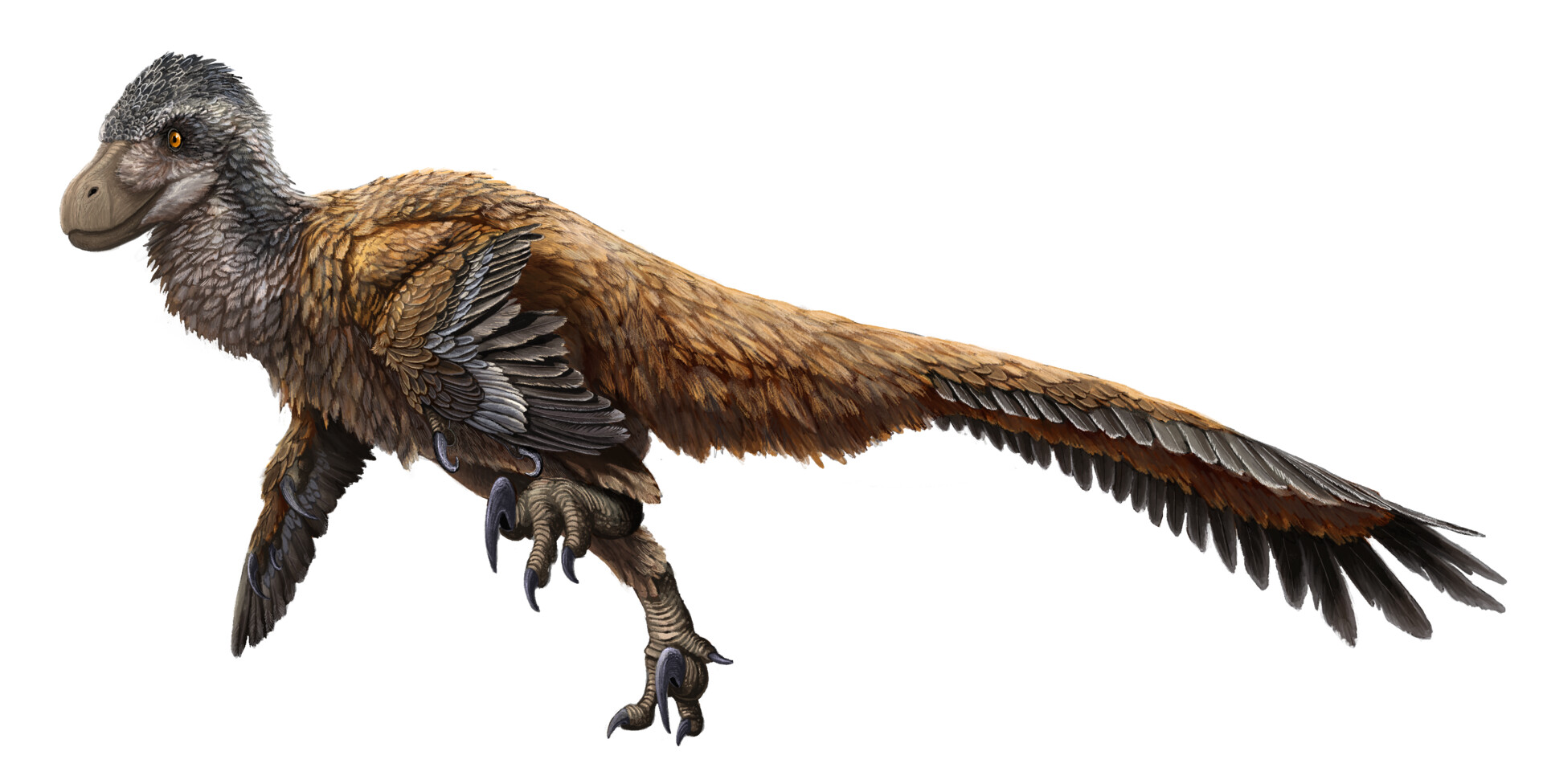ArtStation - Paleoart: Deinonychus