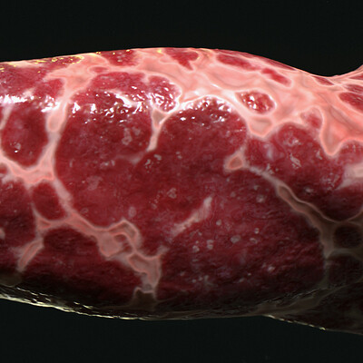 PBR - MEAT 2023 - 4K MATERIAL