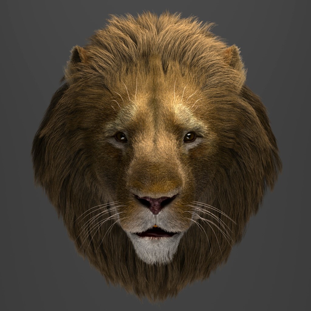 ArtStation - Grooming hair lion xgen