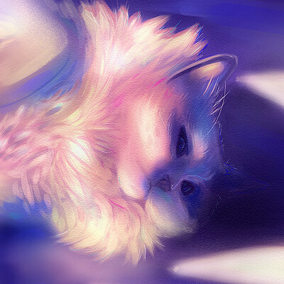 Mozza Study