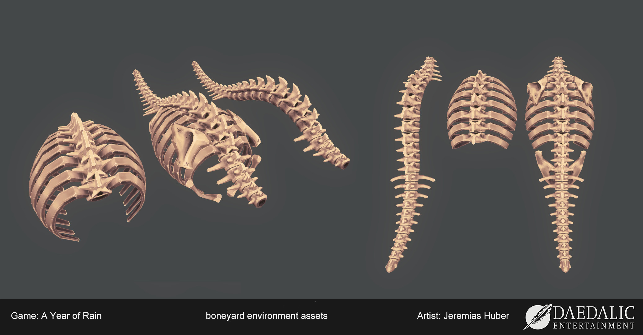 animal torso