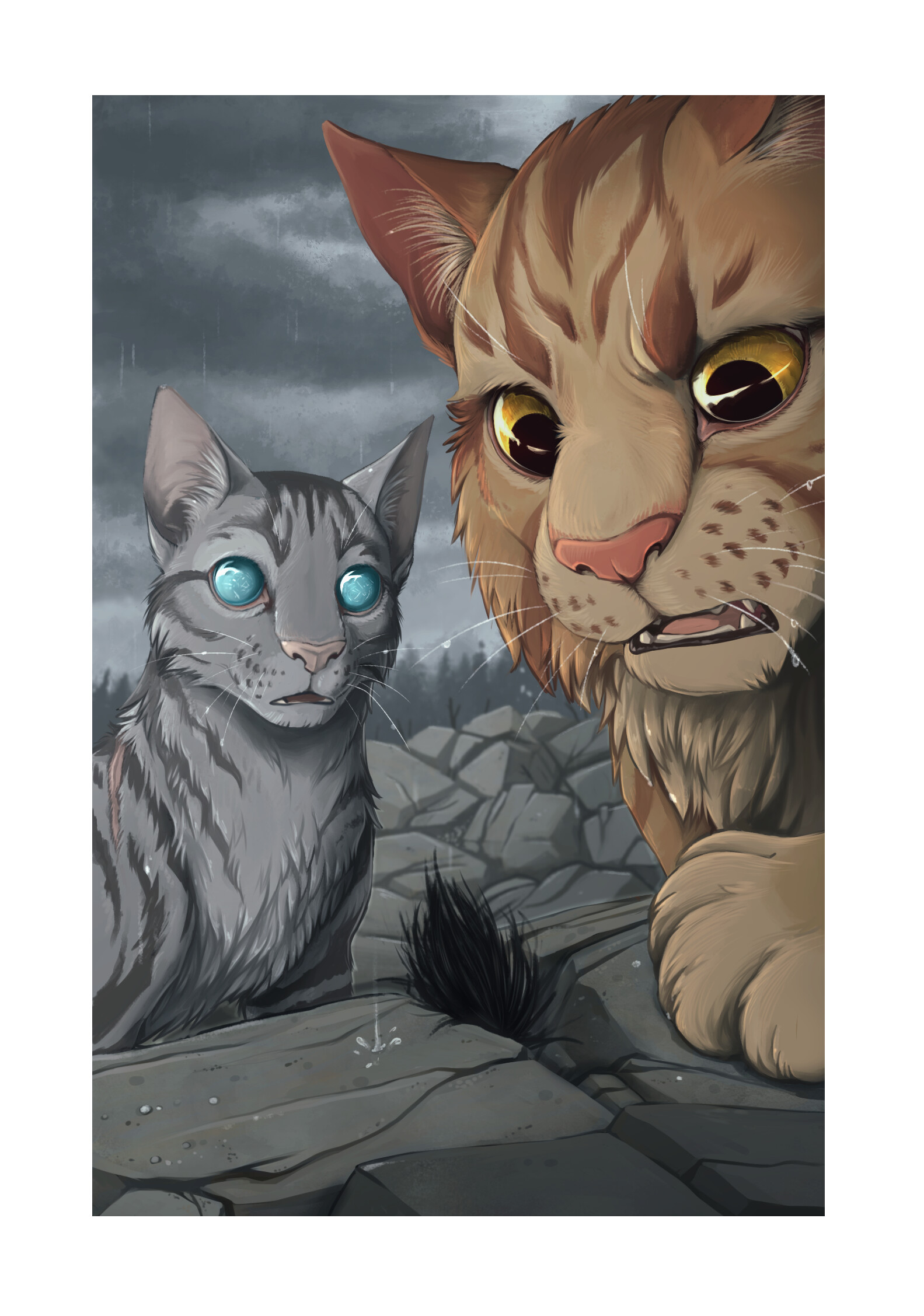 Urszula Przybylska - WARRIOR CATS- COLLECTOR'S CARDS, image size:1583x2255