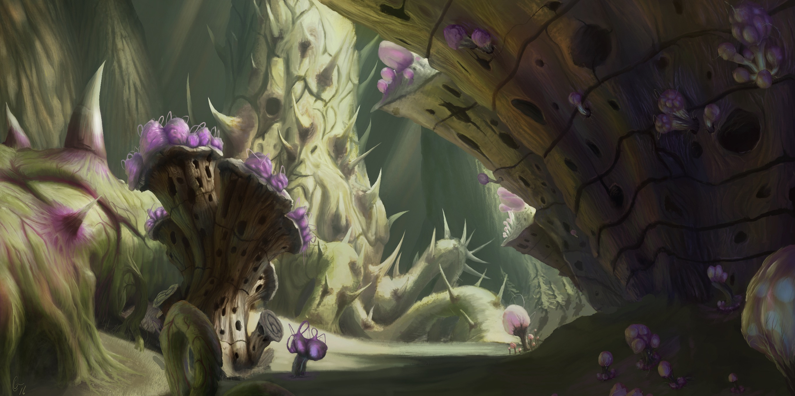 Environment Sketch of Calcified fungi