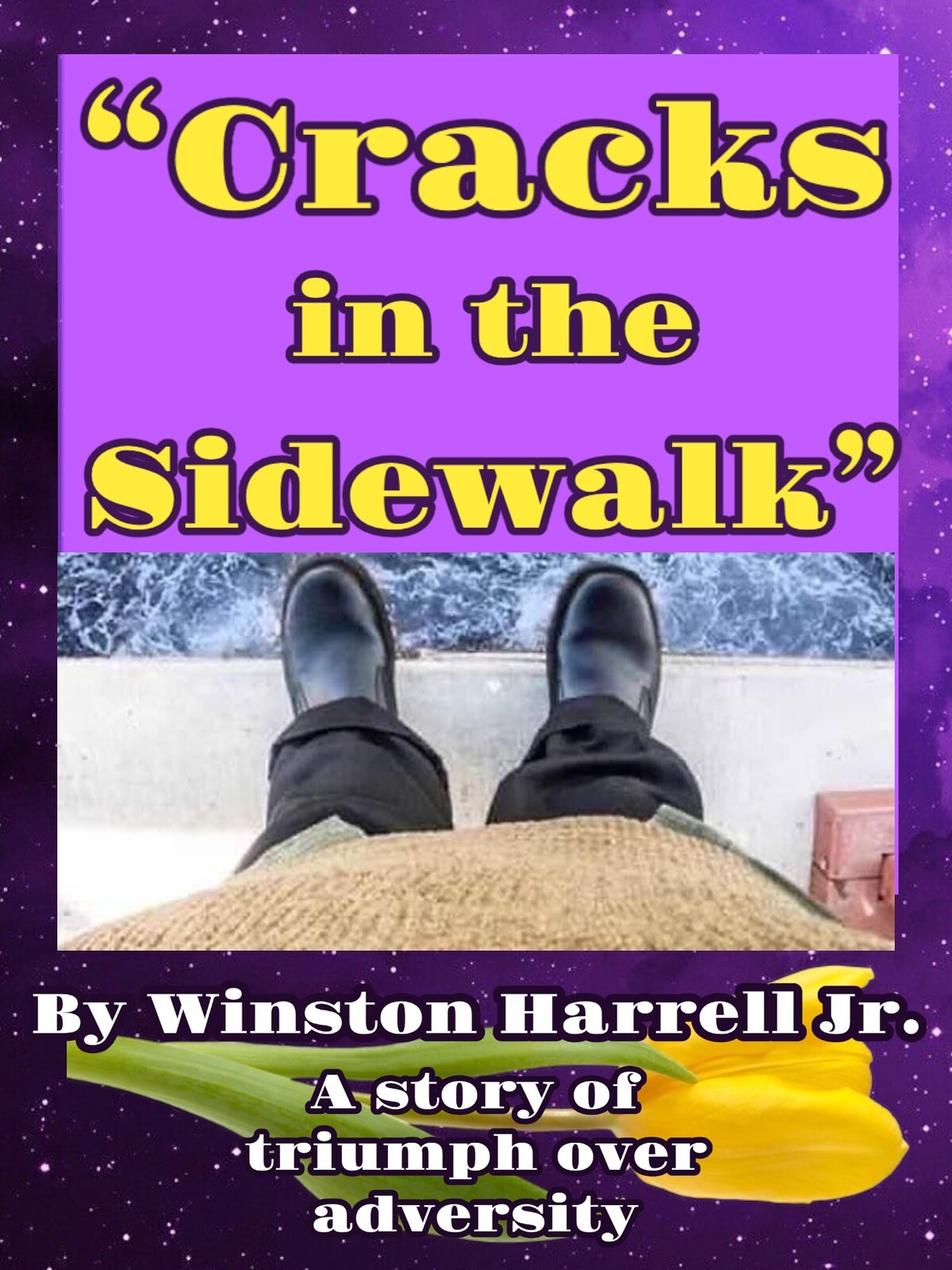 Cracks in the Sidewalk book Cover Design