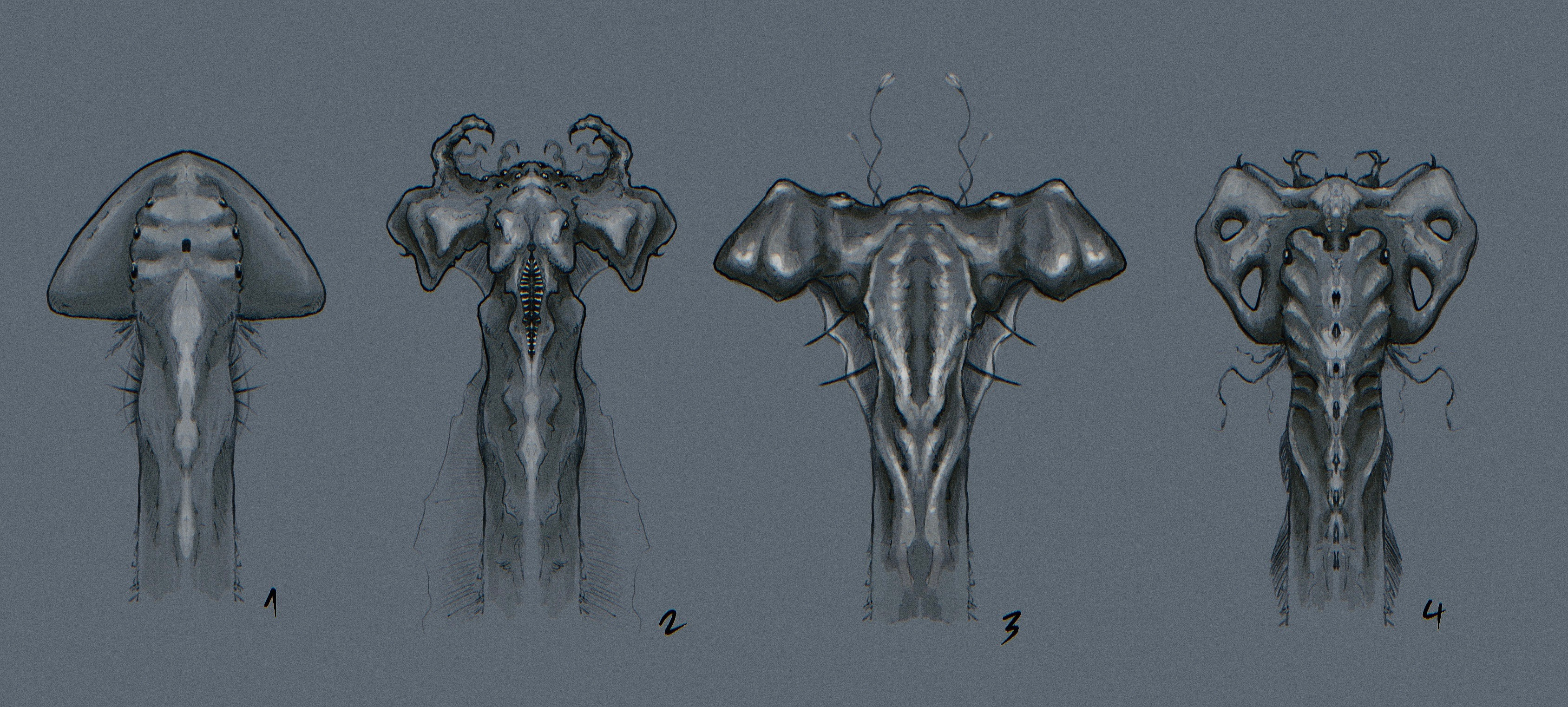 Head shape explorations