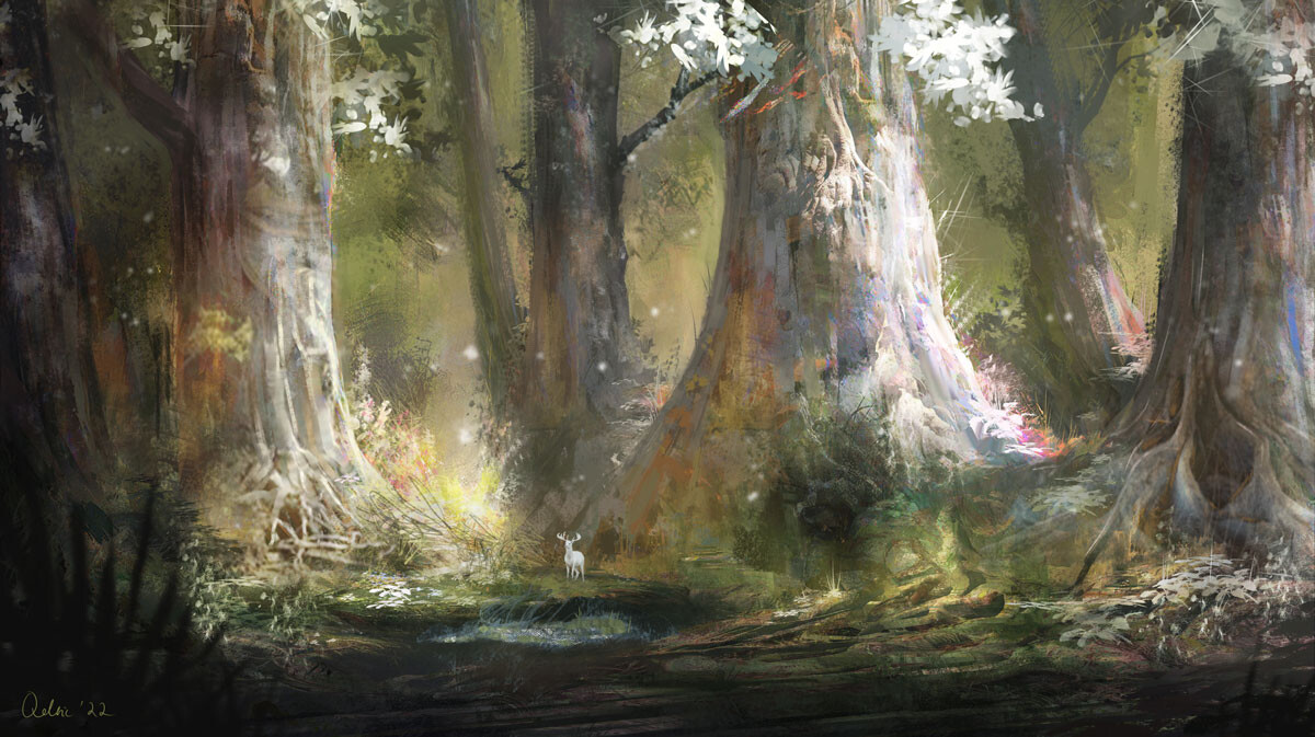 Enchanted Forest
